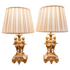 A fine pair of 19th century French  alabaster and gilt bronze lamps