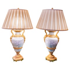 A fine pair of 19th century French Pate Sur Pate and gilt bronze lamps .