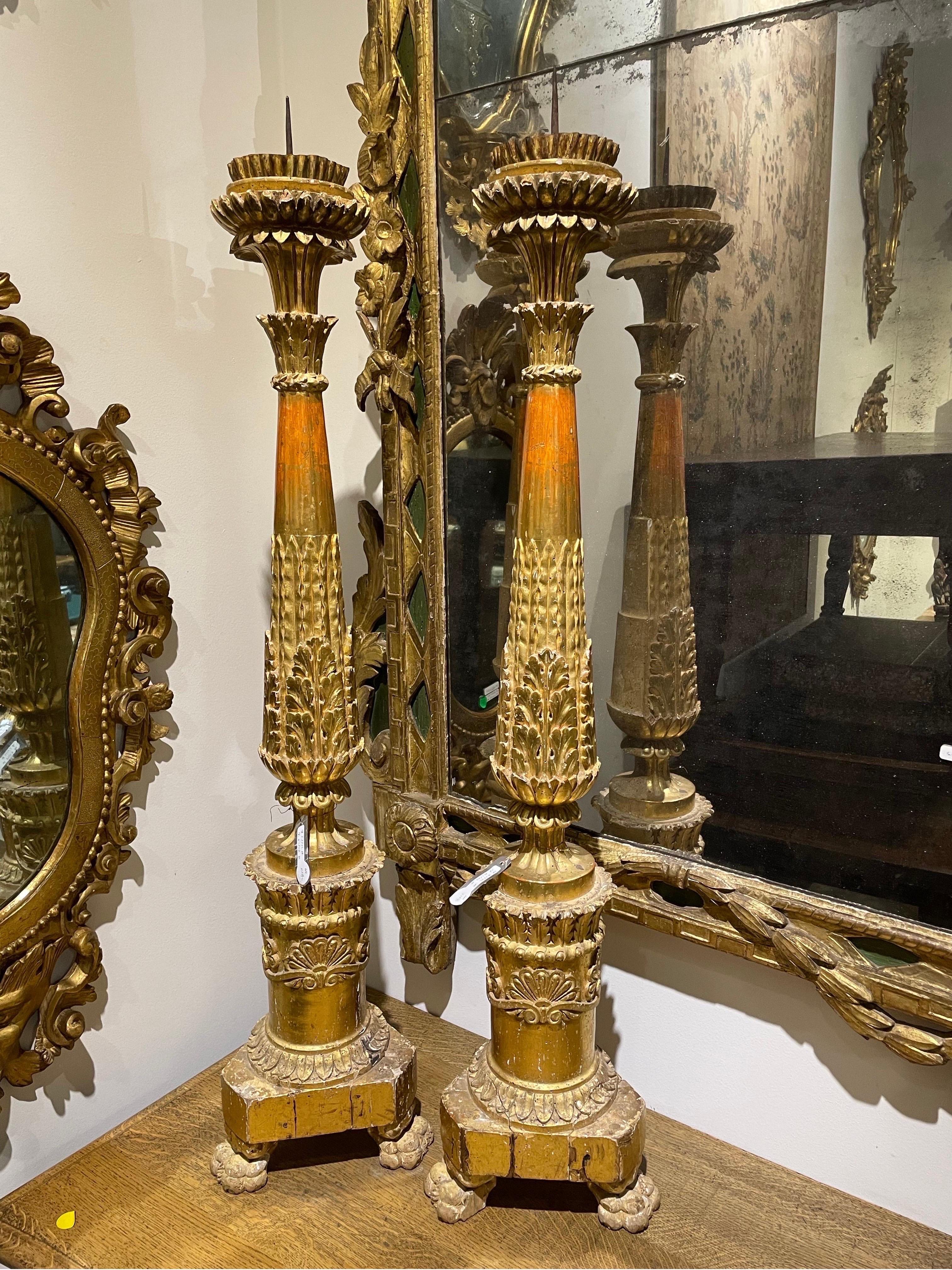 A very fine pair of carved limewood and gilt torcheres, Italian circa 1780

Height: 112 cm Diameter: 25cm

Provenance: Private Australian Collection.