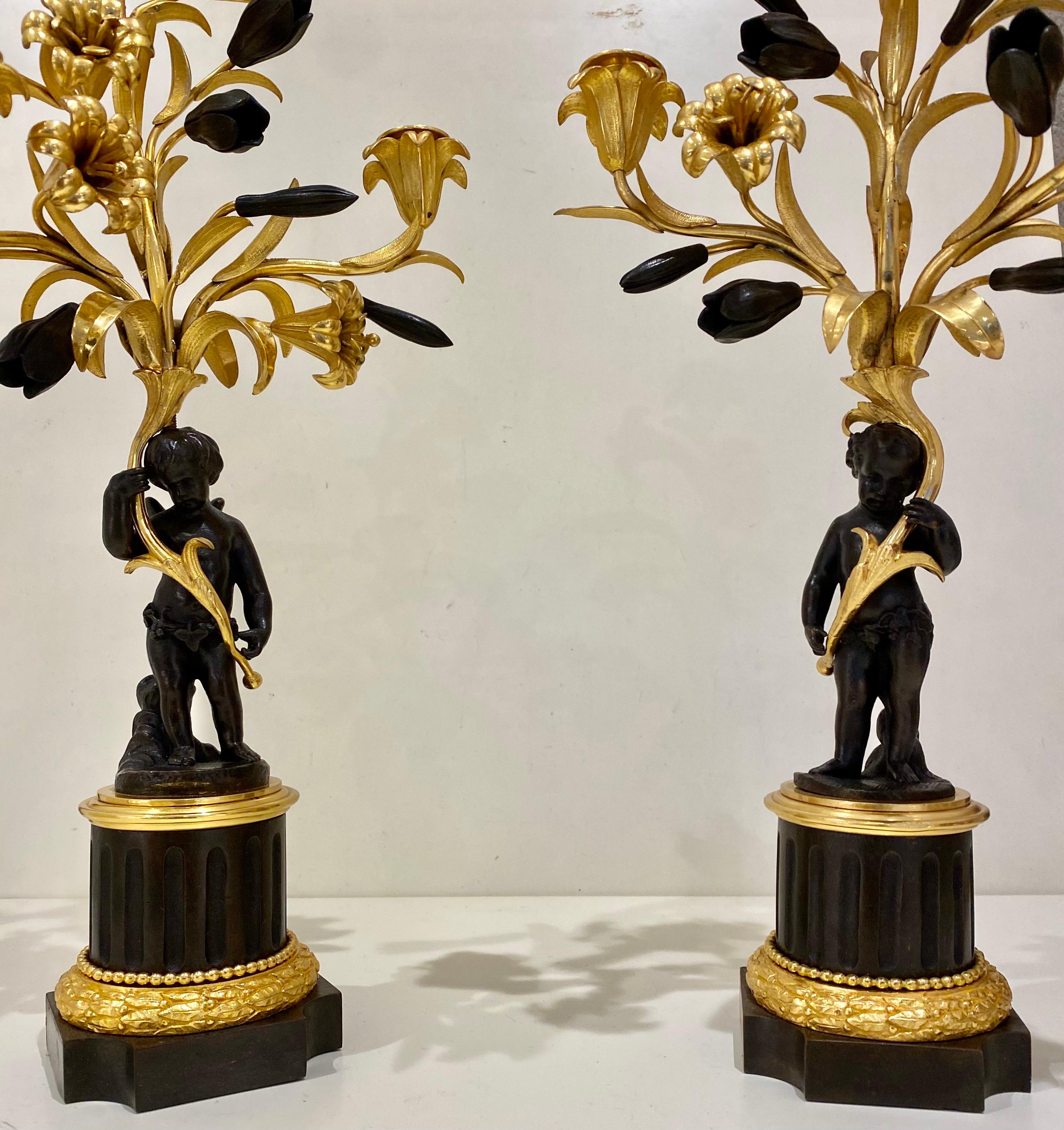 Zwei Cherub-Kandelaber aus zweifarbiger Bronze, französisch, um 19. Jahrhundert, die drei Zweige jeweils mit abnehmbaren Tropfschalen. Circa 1880 und Messung 19 Zoll (49,5 cm) hoch durch 9 Zoll (19 cm) breit. 
Dieses Paar Bronzekandelaber aus dem