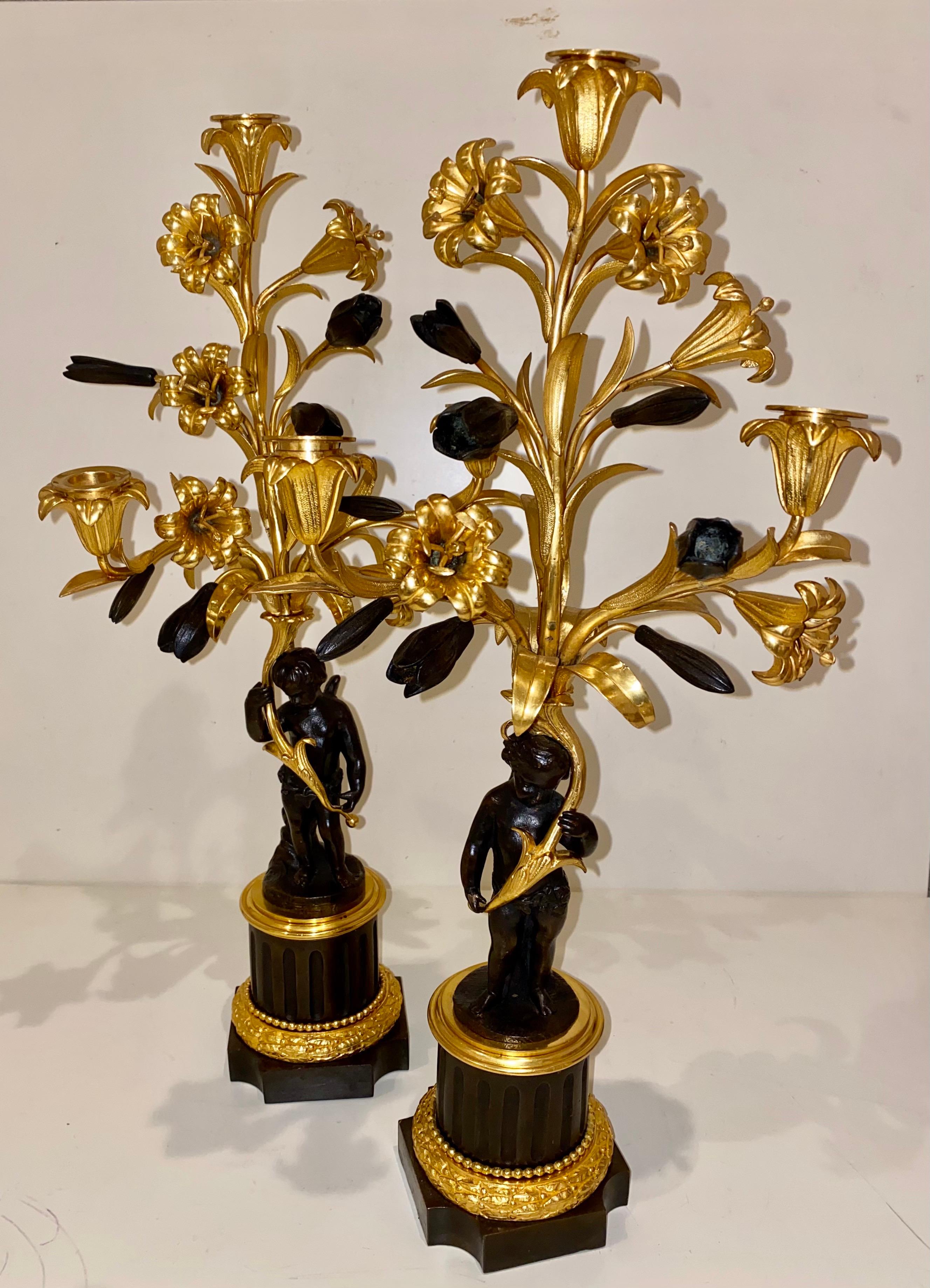 Fino par de candelabros franceses dorados y patinados de bronce ormolu de 3 luces Francés en venta