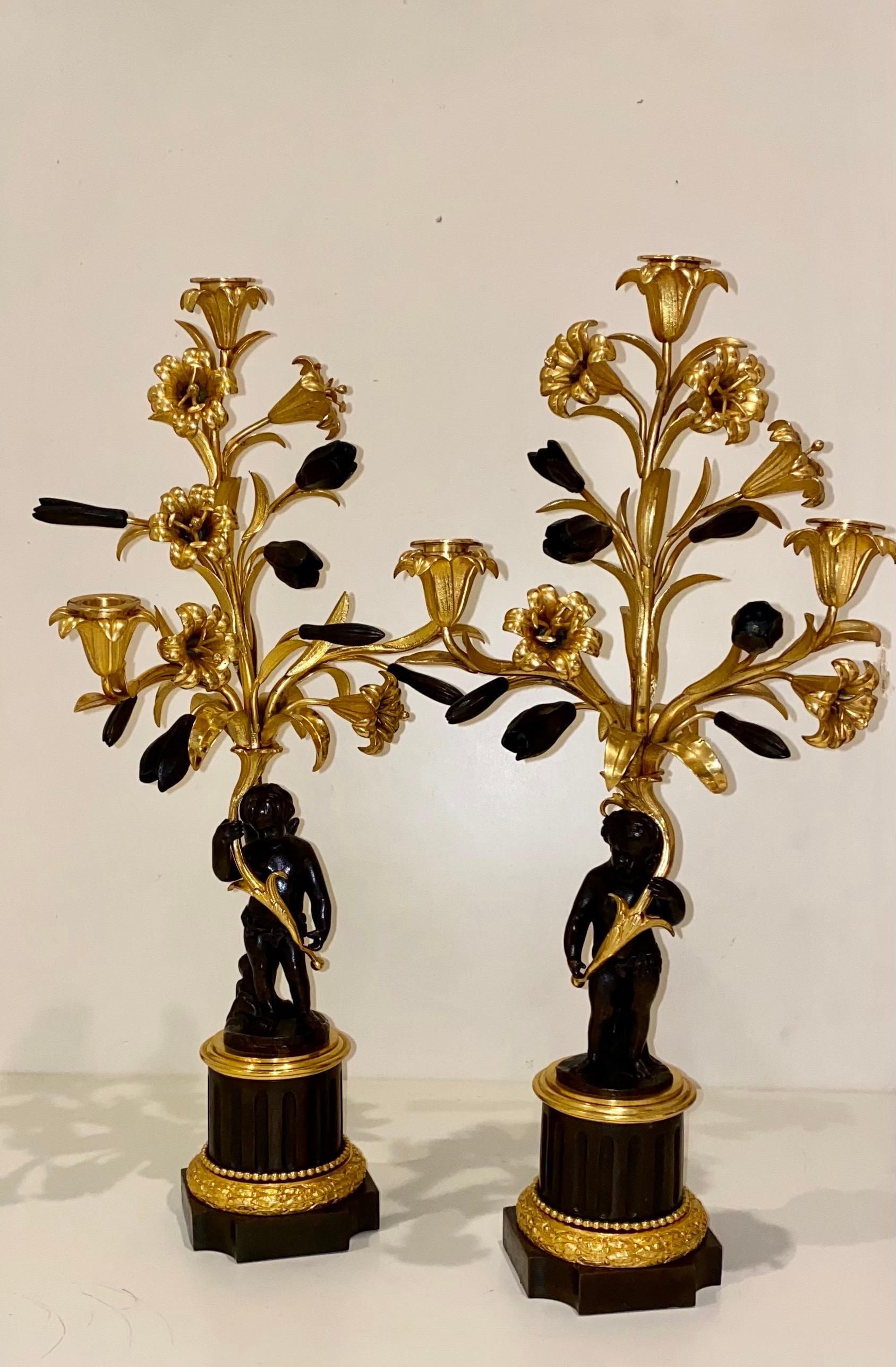 Fino par de candelabros franceses dorados y patinados de bronce ormolu de 3 luces en venta 1