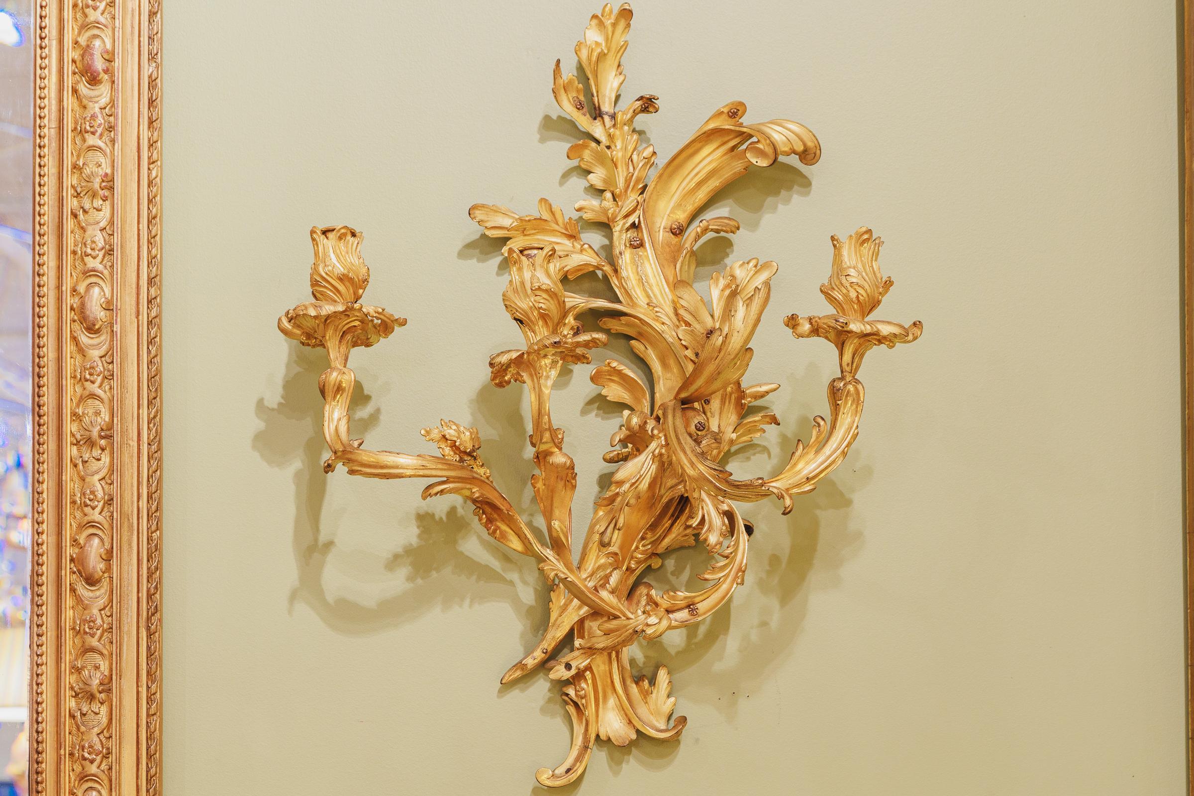 Fine Pair of French Louis XV Fire Gilt Three Light Sconces  In Good Condition For Sale In Dallas, TX