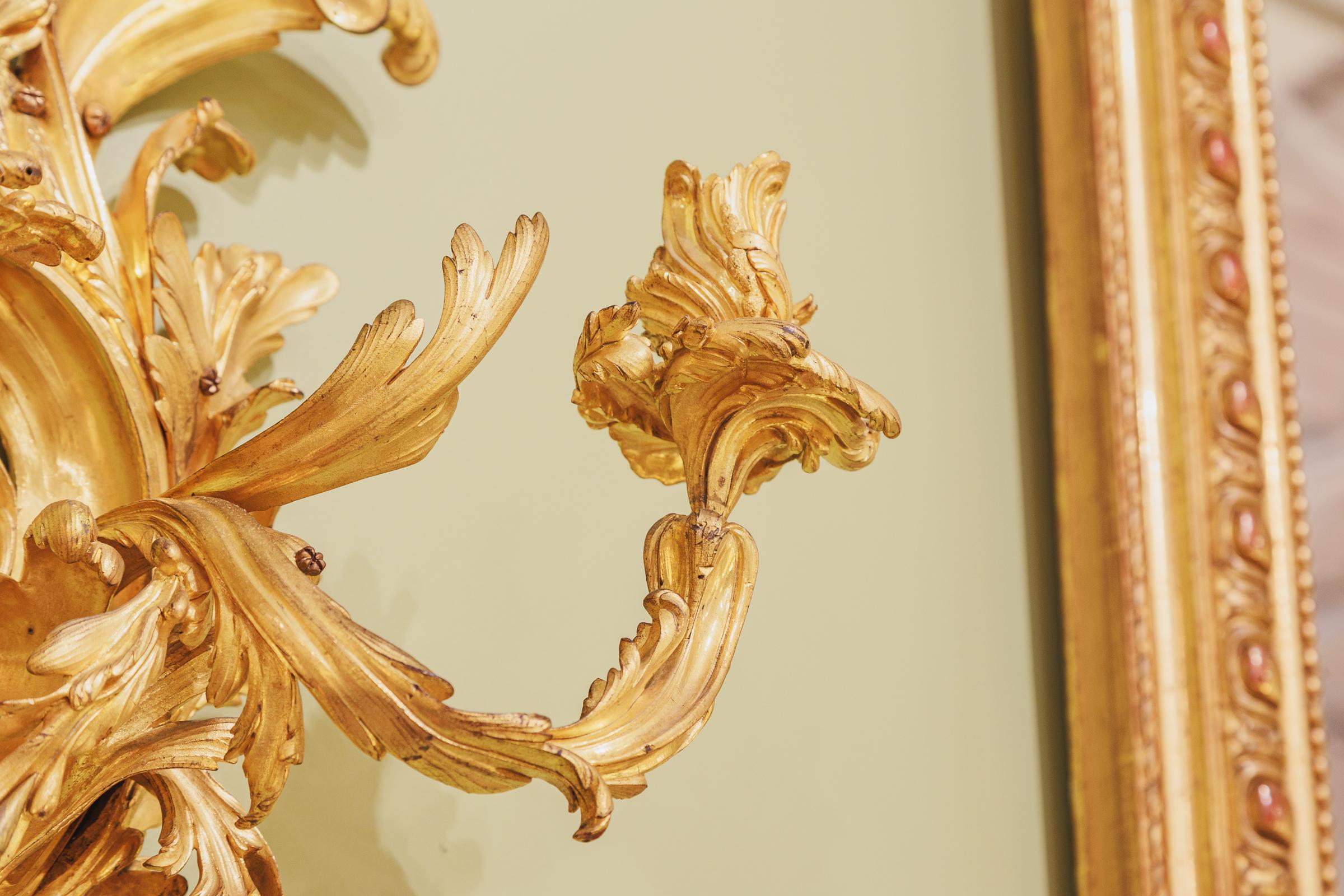19th Century Fine Pair of French Louis XV Fire Gilt Three Light Sconces  For Sale