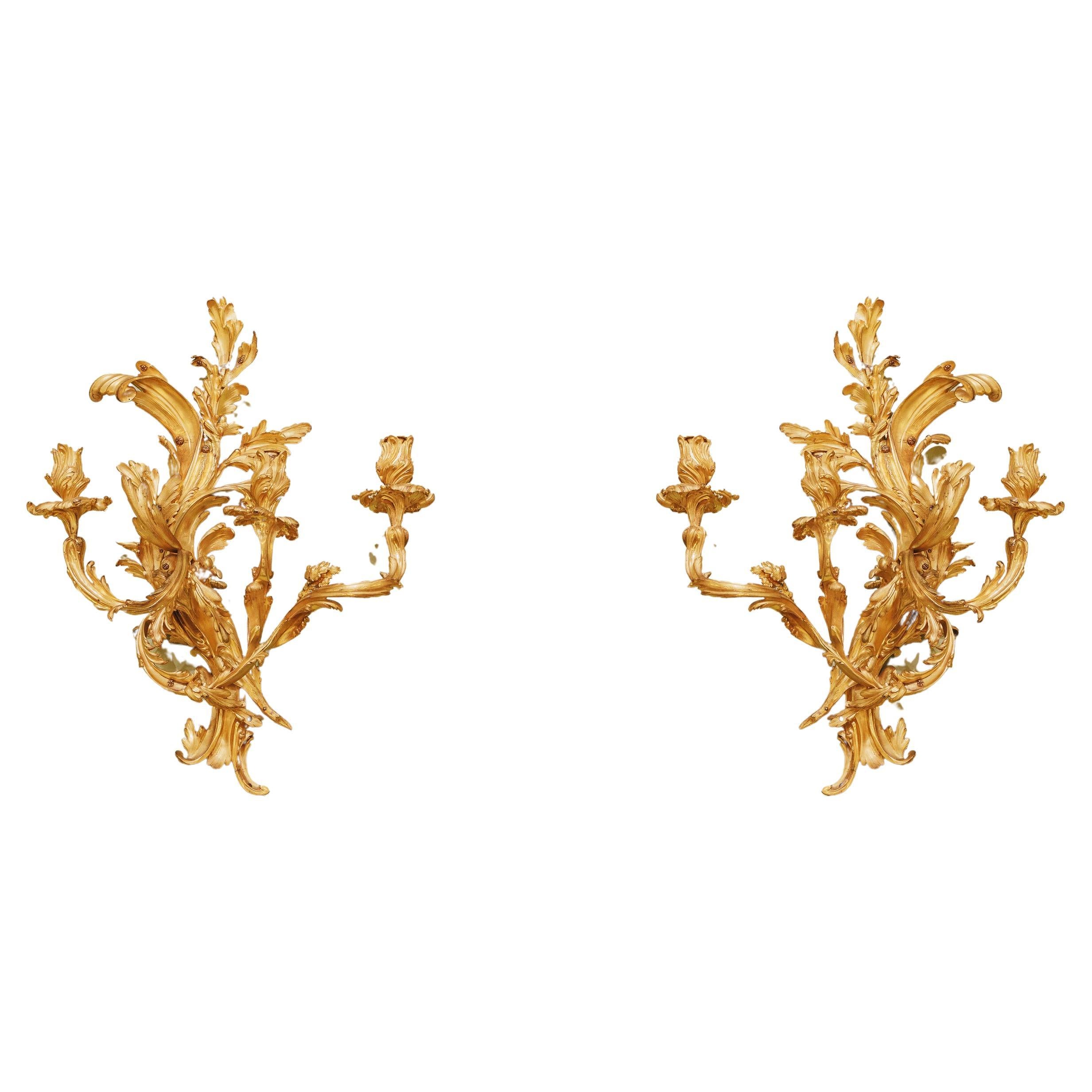 Fine Pair of French Louis XV Fire Gilt Three Light Sconces 