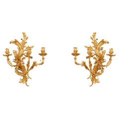 Fine Pair of French Louis XV Fire Gilt Three Light Sconces 