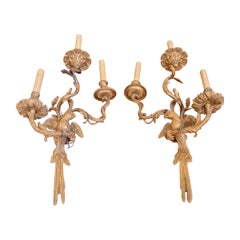 Fine Pair of French Louis XV Gilt Bronze Parrot Sconces, Late 19th Century