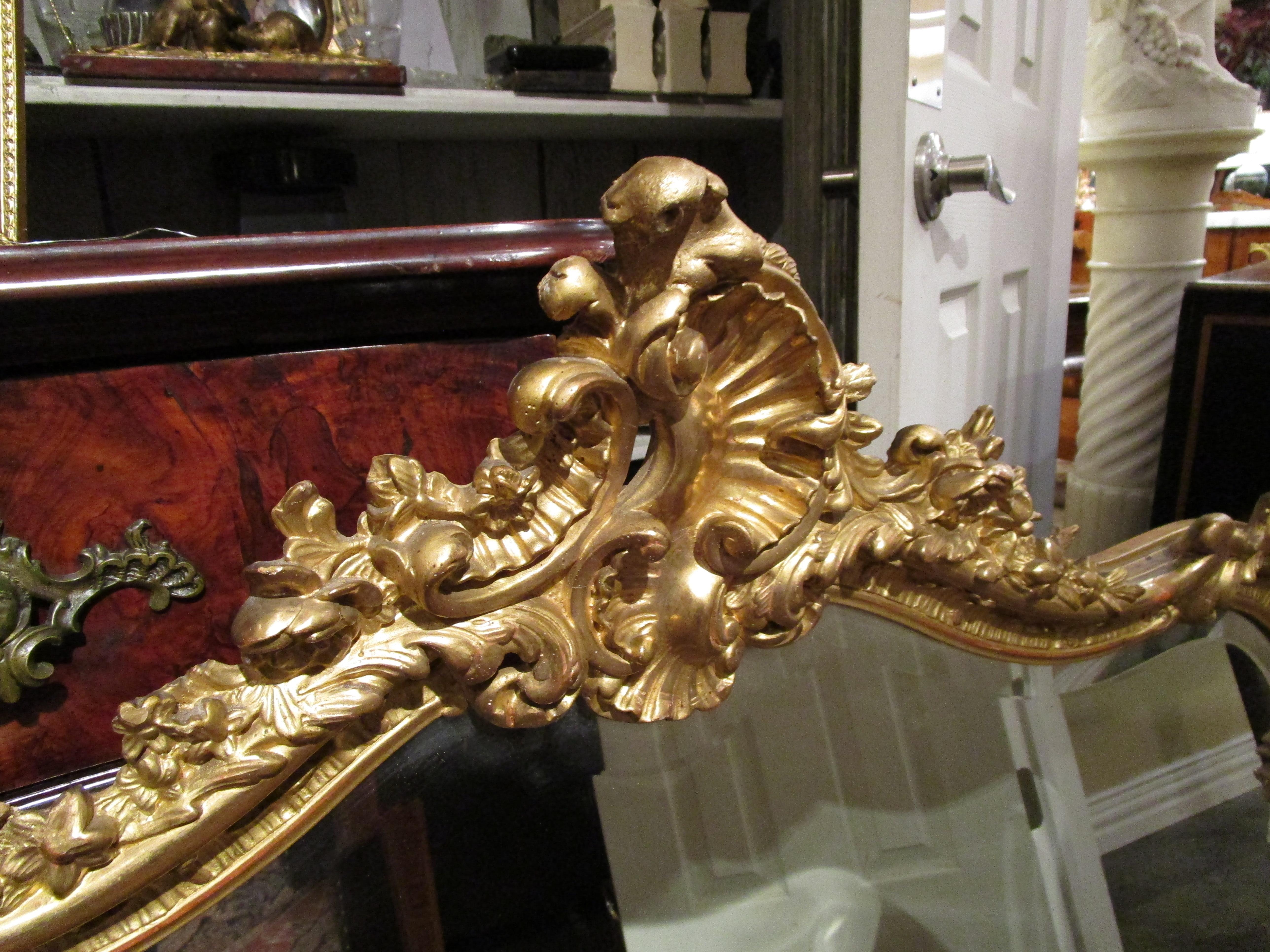 Giltwood Fine Pair of French Louis XV Oval Gilt Carved Mirrors For Sale