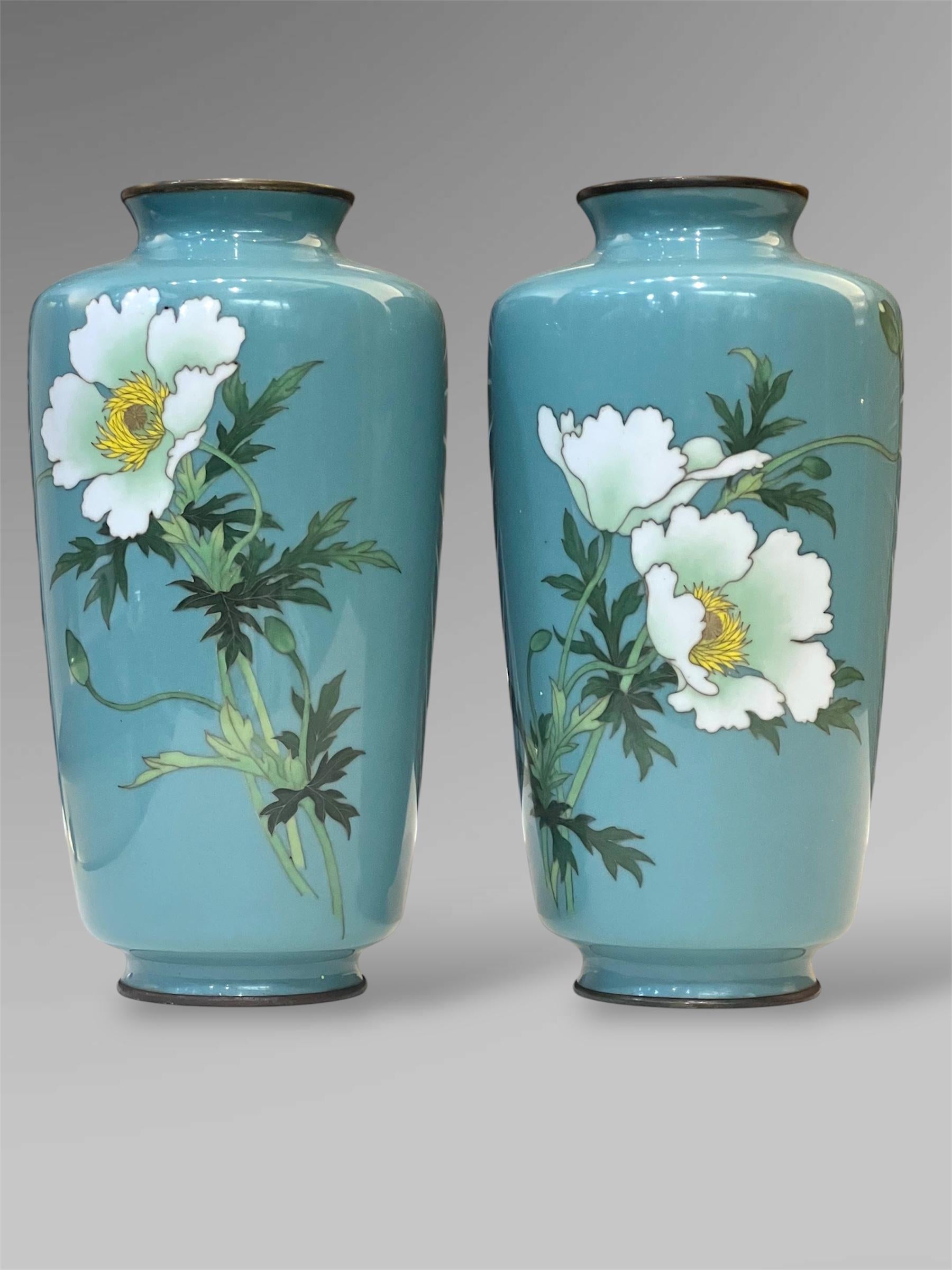 A Fine Pair of Japanese Cloisonné Vases with White Peonies by Ando
Late Meiji or early Taisho period 

An elegant pair of Japanese cloisonné enamel vases of tapered cylindrical form with rounded shoulders, each finely decorated with white peony