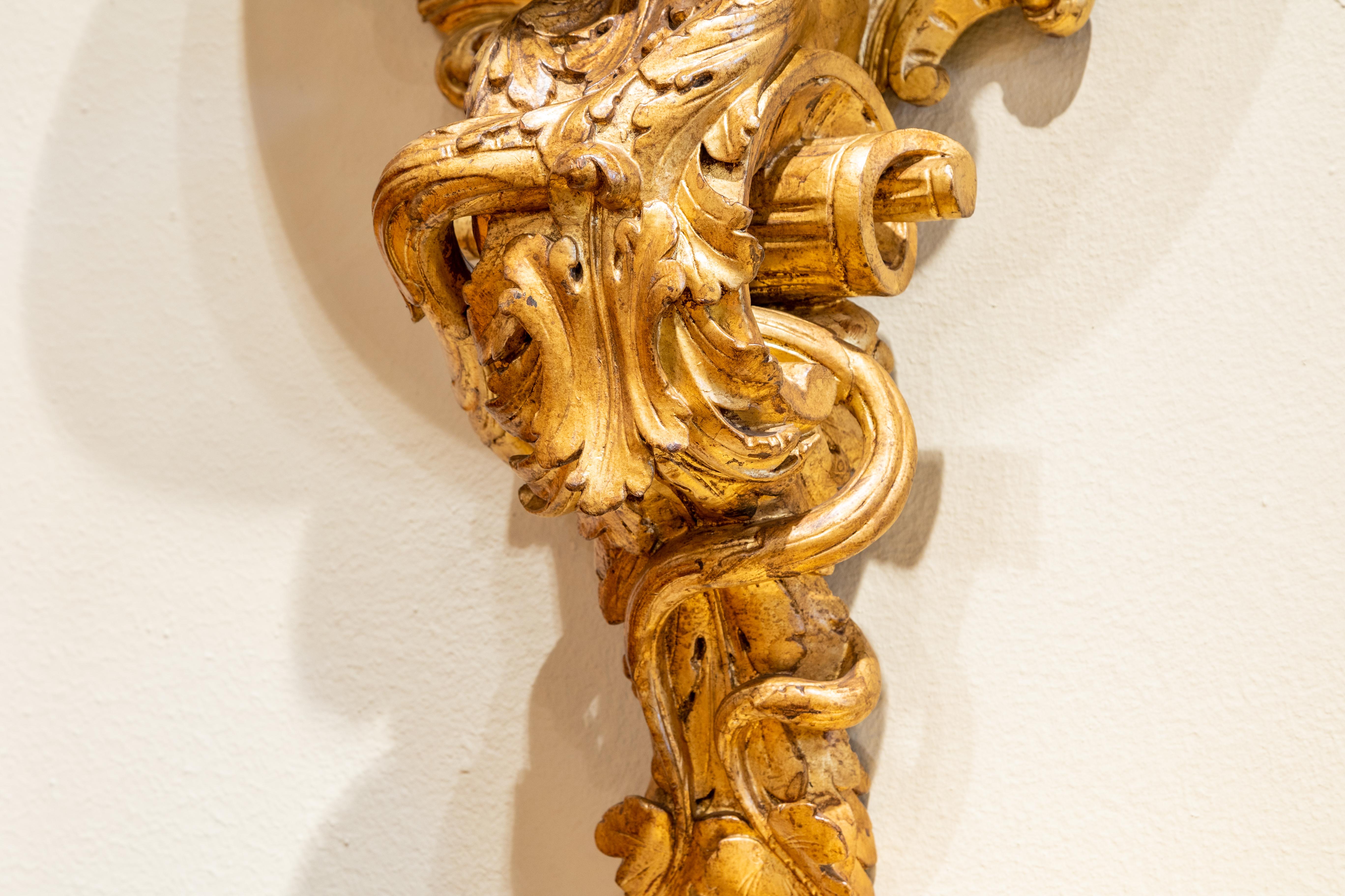 A large pair of 19th century Italian giltwood carved cherub wall brackets. Hand carved with a large cherub holding up the top shelf. Elaborately carved and gilded.