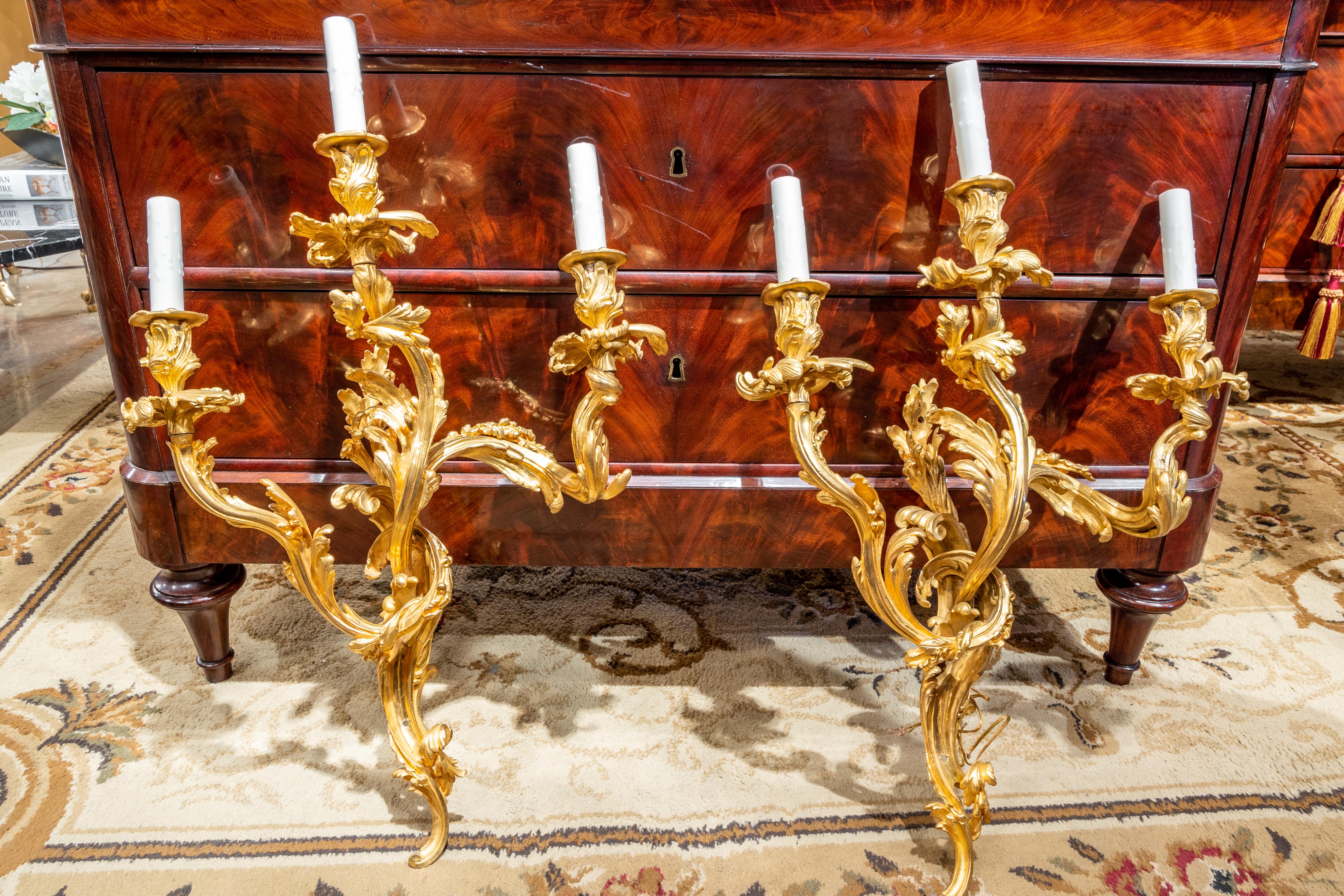 A fine pair of 19th century French Louis XV gilt bronze large sconces with fine detail.