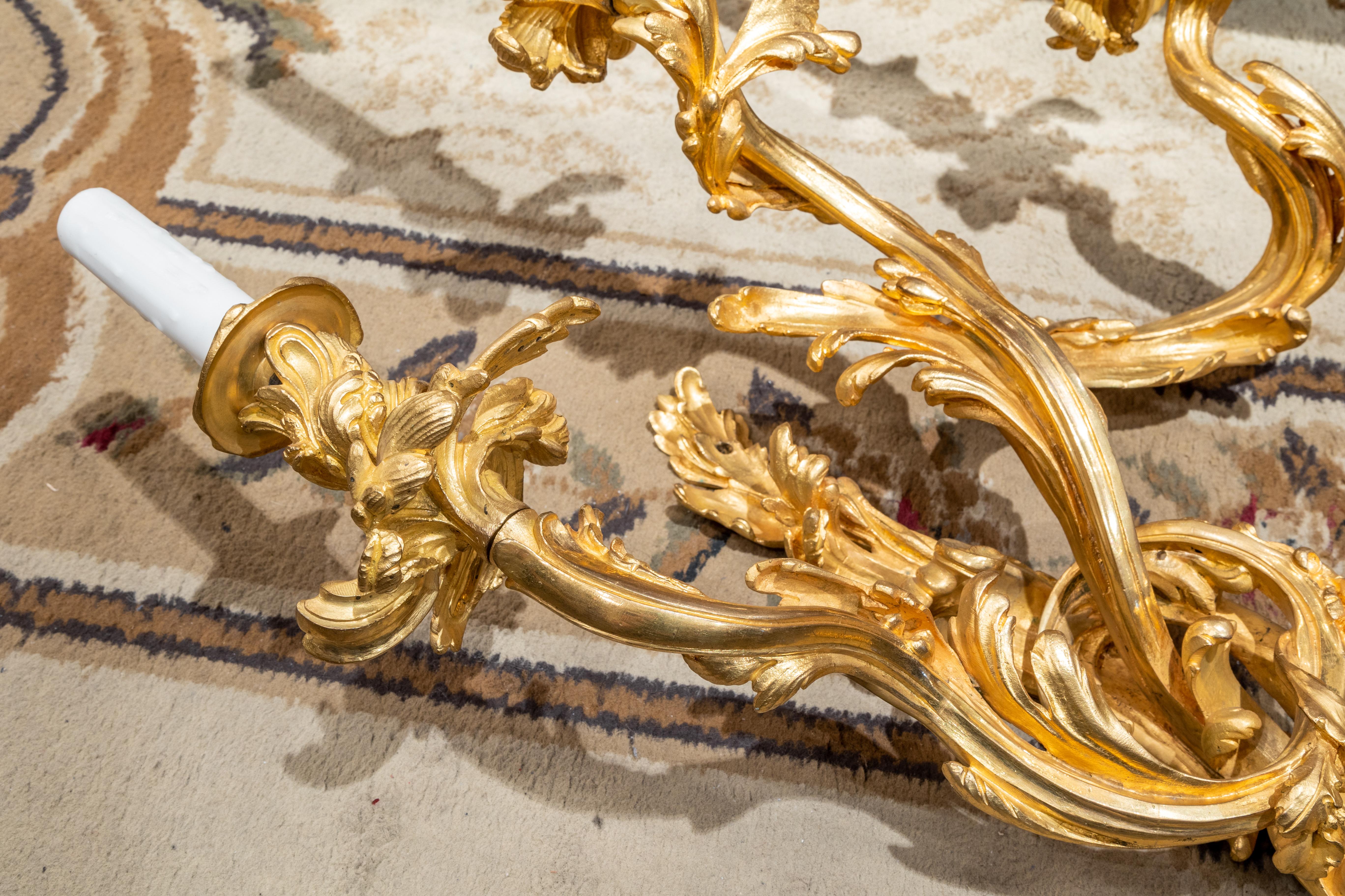Fine Pair of Large 19th Century French Louis XV Gilt Bronze Wall Sconces In Good Condition In Dallas, TX