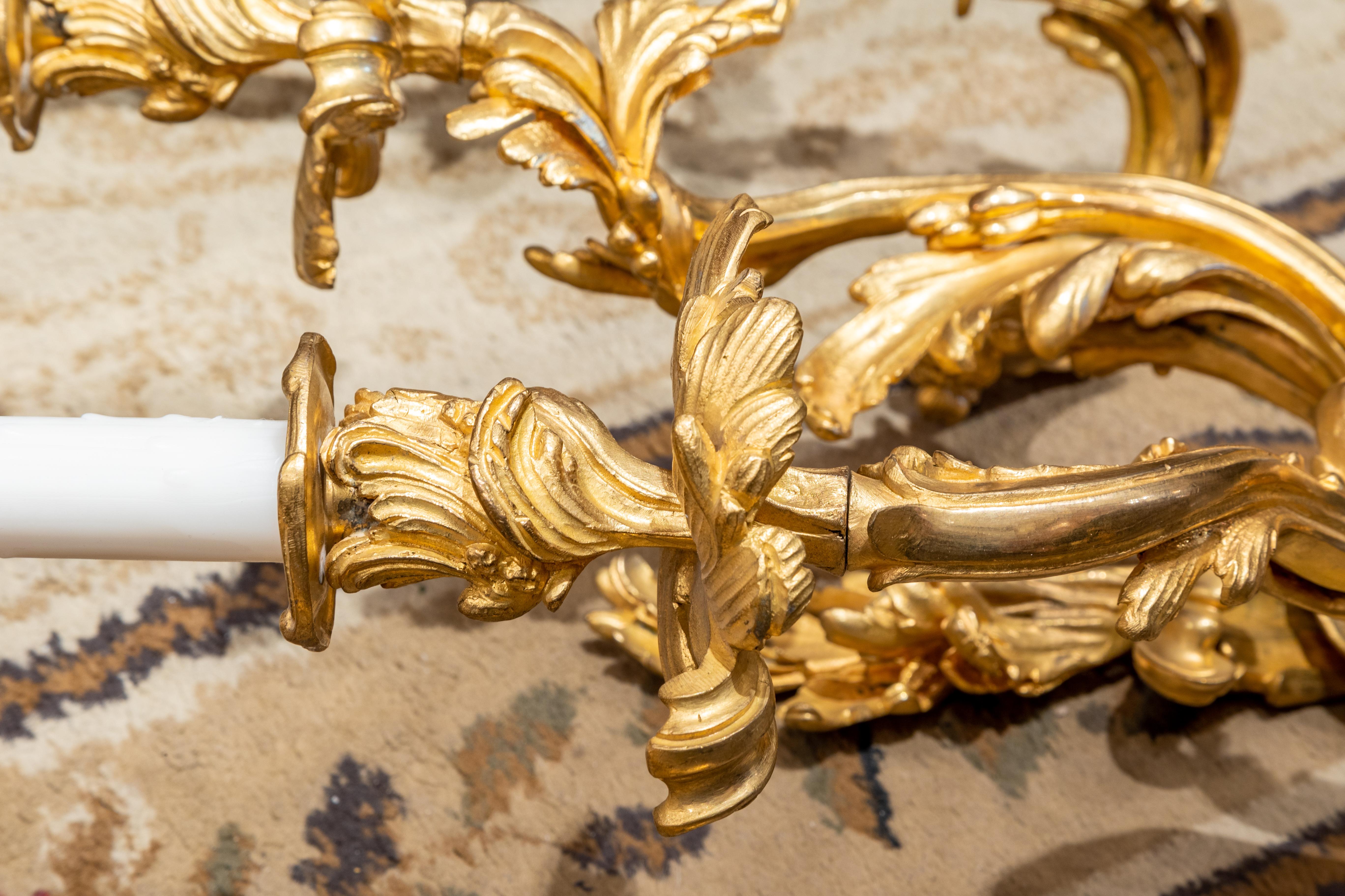 Fine Pair of Large 19th Century French Louis XV Gilt Bronze Wall Sconces 1