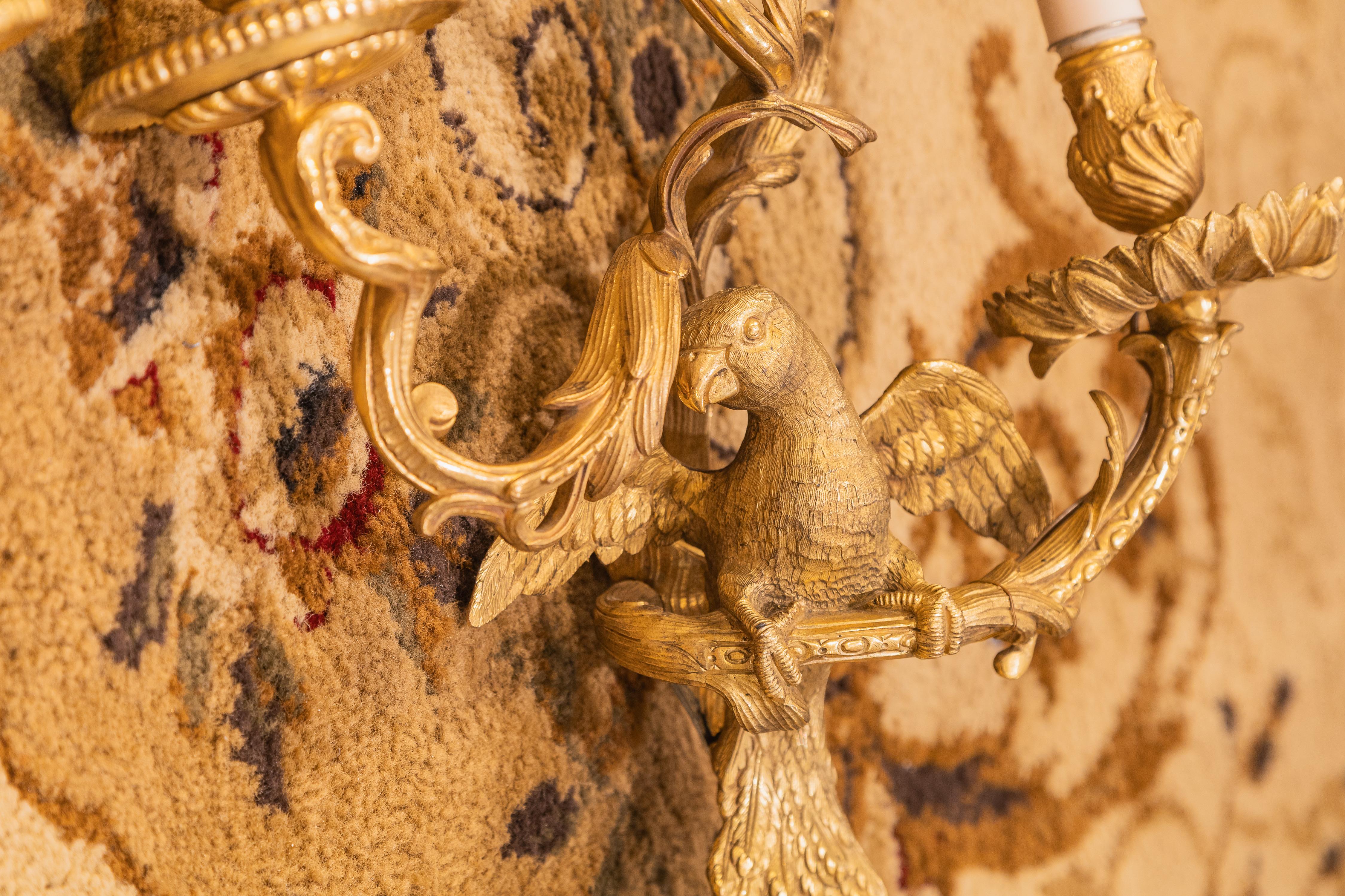 Ein feines Paar französischer vergoldeter Bronzewandleuchter des späten 19. Jahrhunderts. Skurriles Design mit Papageien auf einem Branch und drei Lichtern. Feiner Guss 