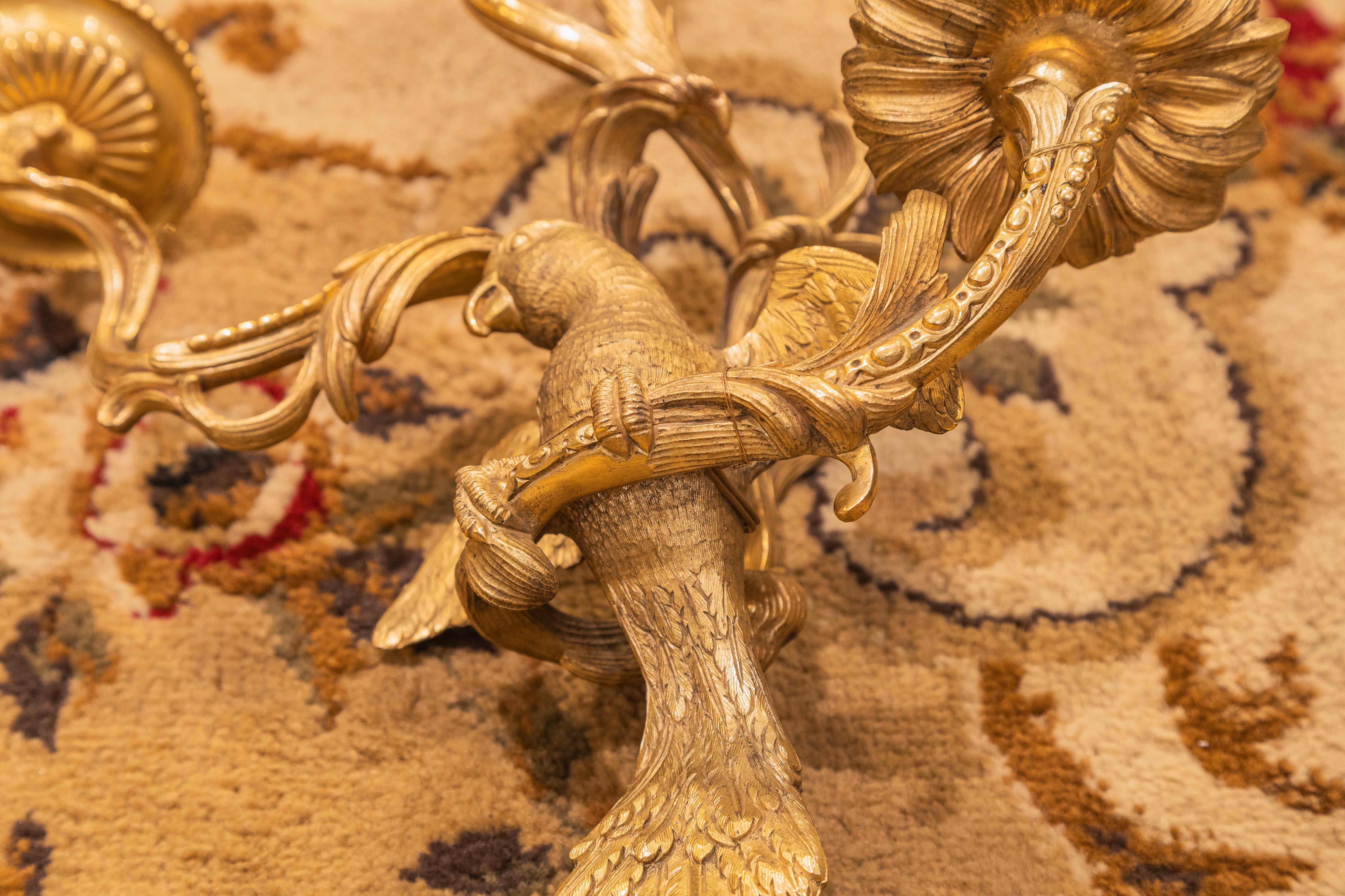 Paire d'appliques à perroquet en bronze doré de style Louis XV du 19e siècle Bon état - En vente à Dallas, TX