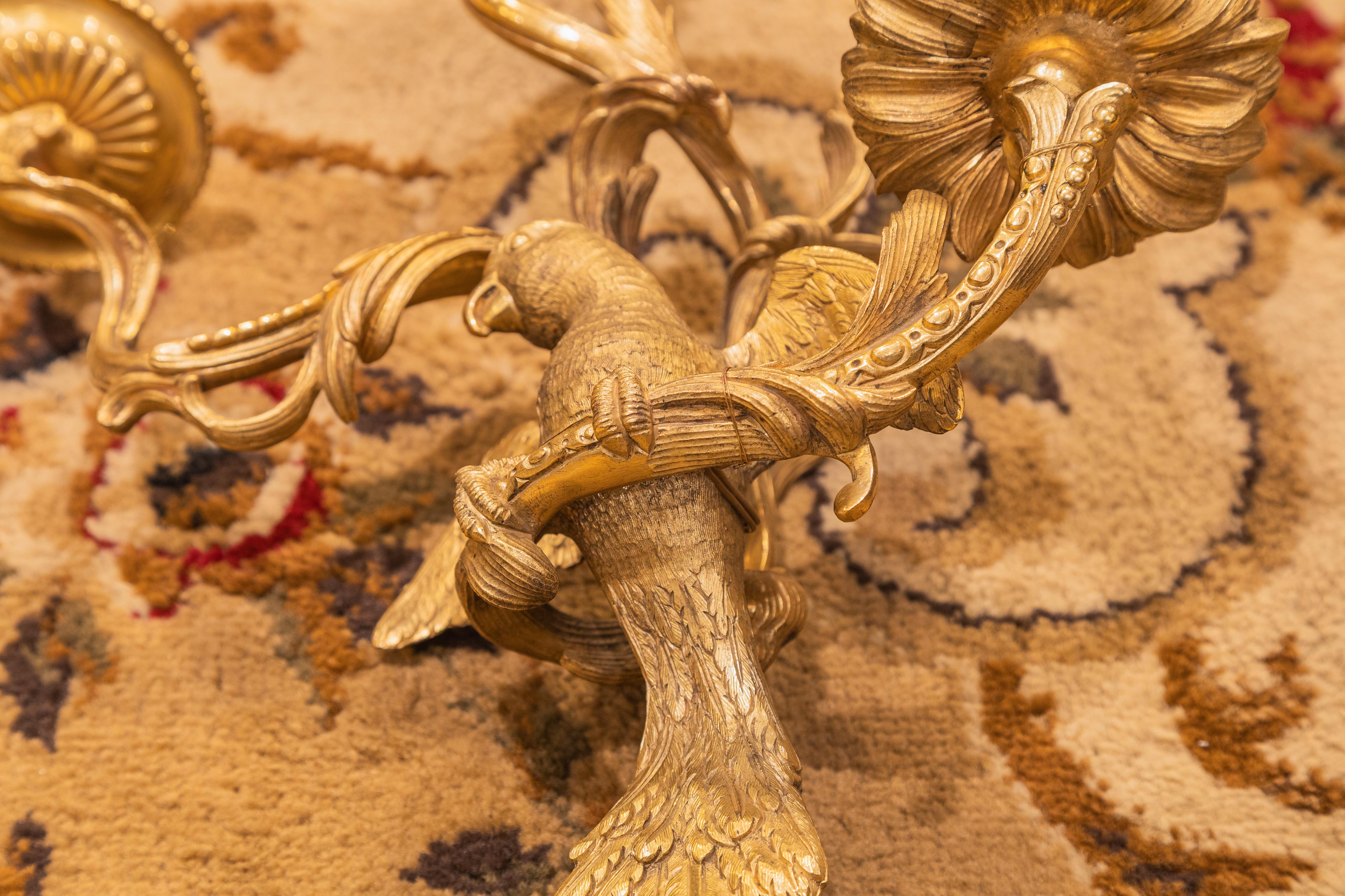 19th Century A fine pair of Lete 19th century French Louis XV gilt bronze parrot sconces  For Sale