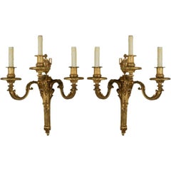 A Fine Pair Of Louis XVI Style Gilded Sconces