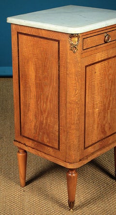 Fine Pair of Marble Topped Bedside Cabinets, circa 1900