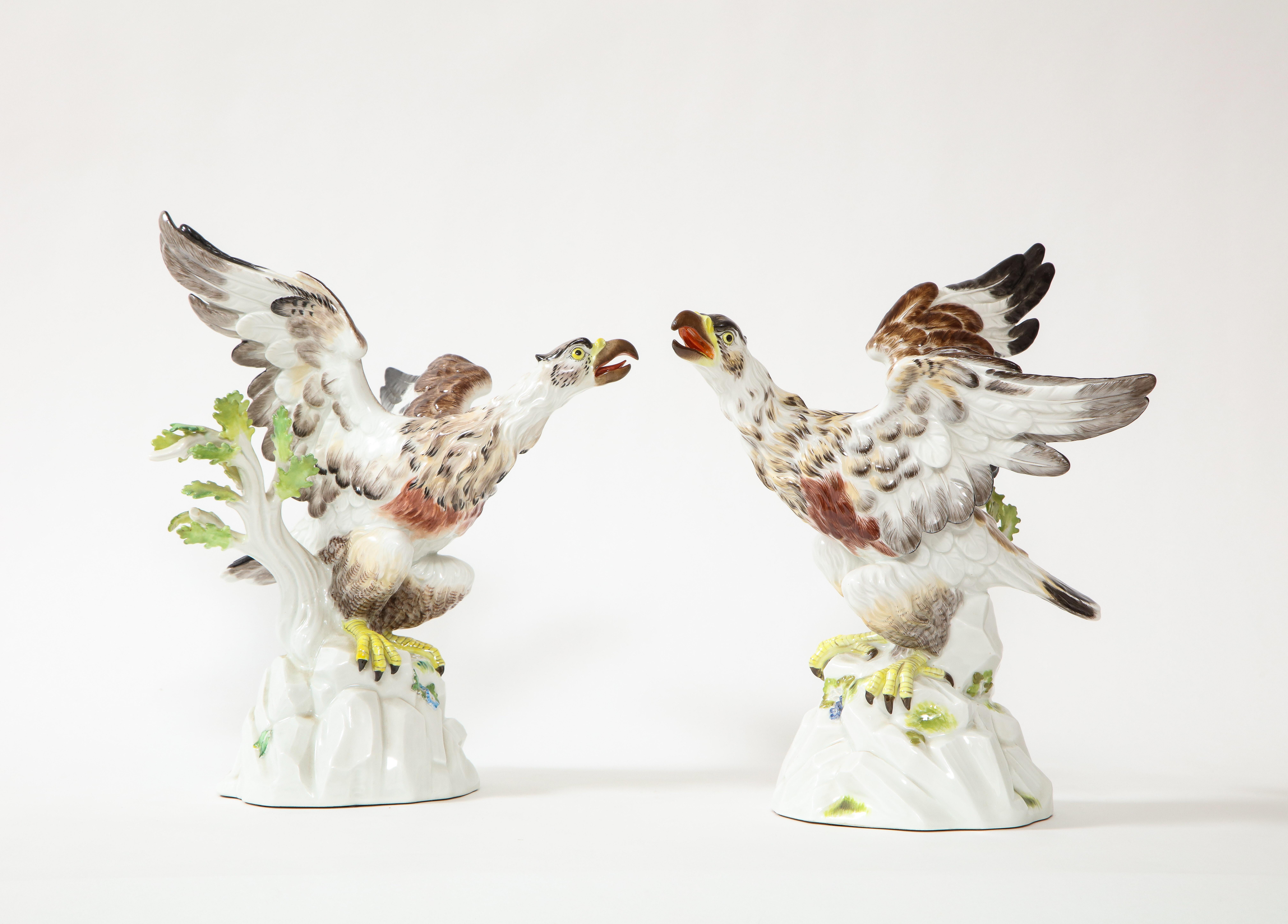 Ein feines Paar von Meissener Porzellanmodellen des frühen 20. Jahrhunderts mit Adlern, die naturalistisch auf Zweigen ruhen. Jeder Adler ist mit weit ausgebreiteten Flügeln und geöffnetem Schnabel zu sehen. Sie sitzen auf einem Ast und halten sich