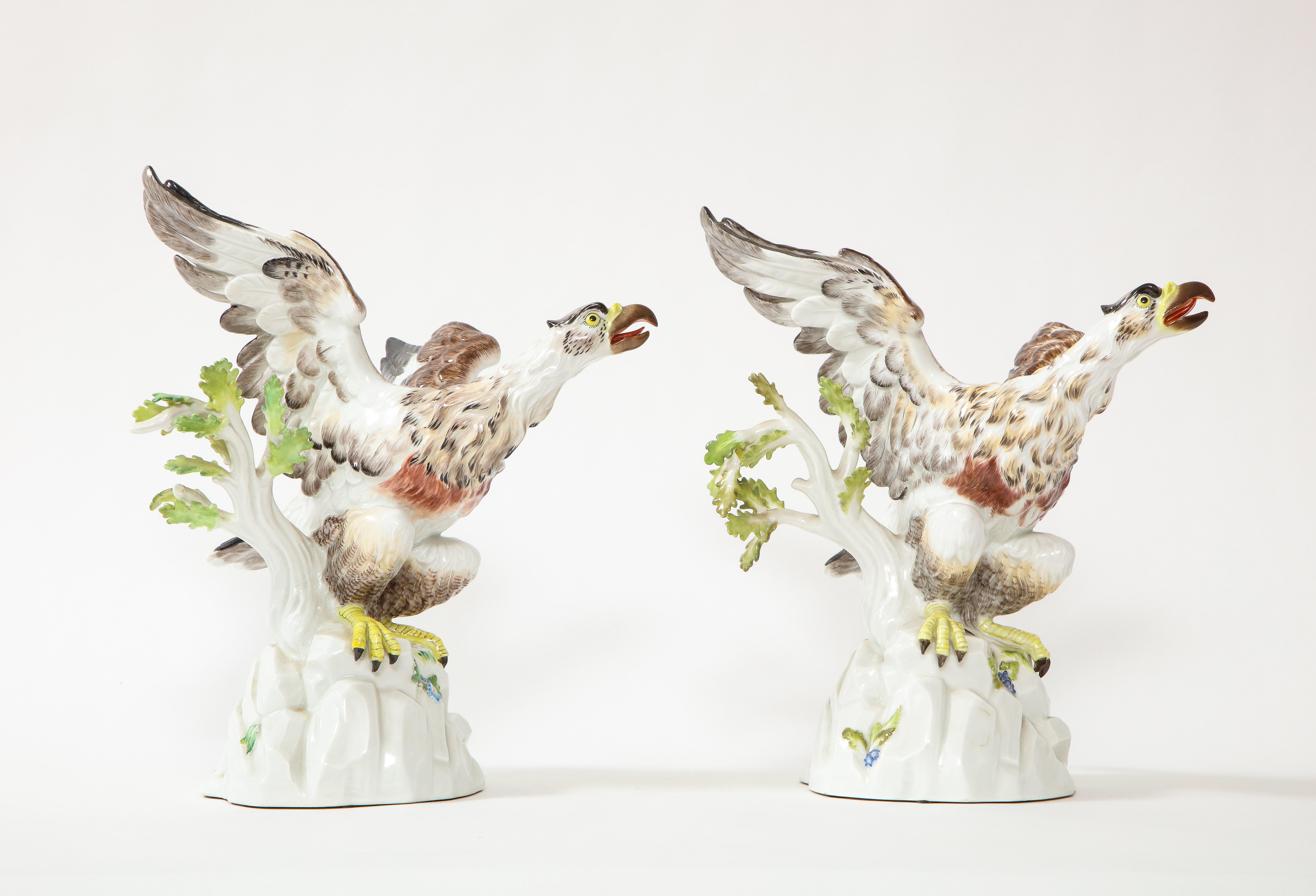 Rococo Fine Pair of Meissen Porcelain Models of Eagles Resting on Branches For Sale