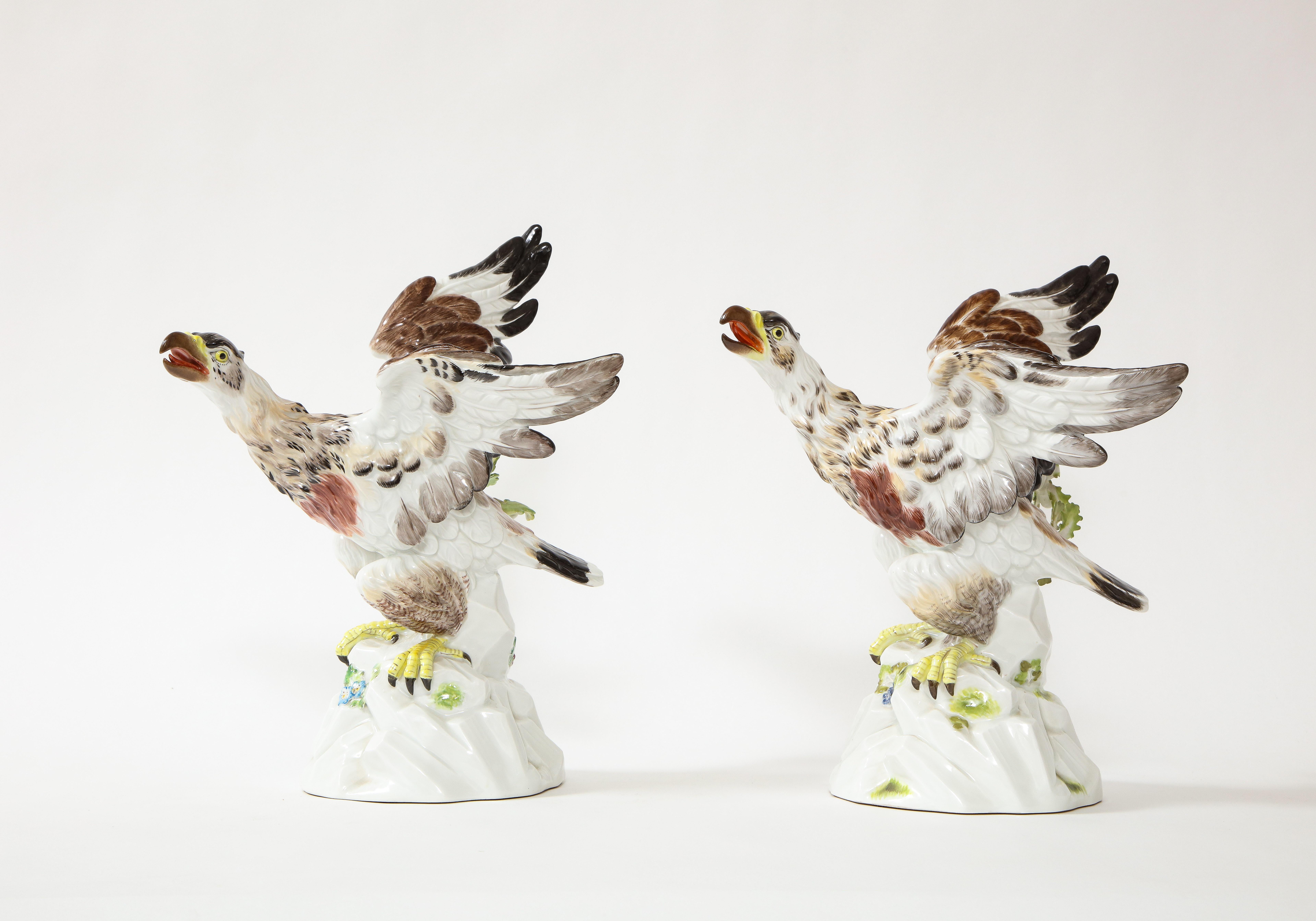 Rococo Fine Pair of Meissen Porcelain Models of Eagles Resting on Branches For Sale