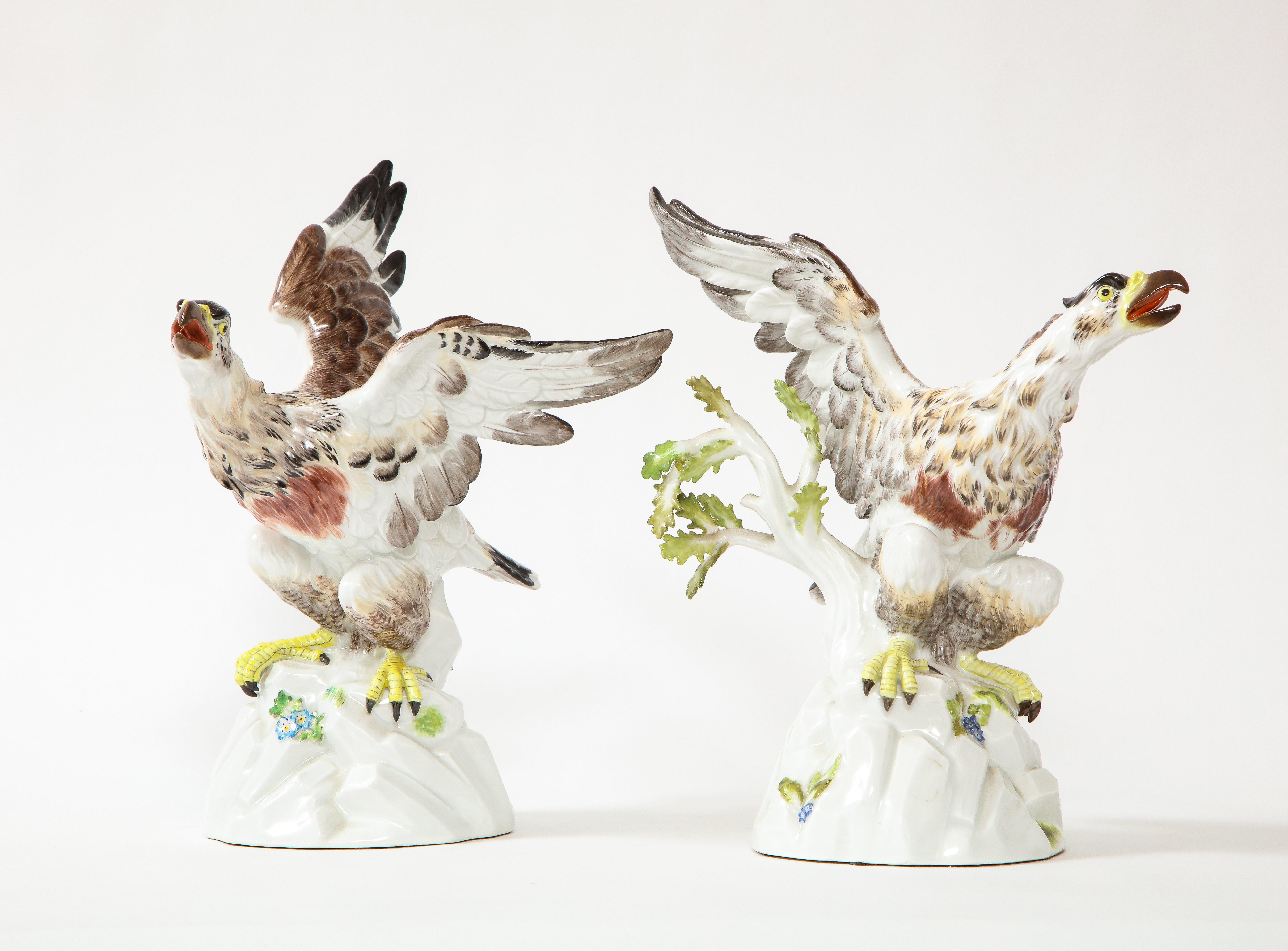 20th Century Fine Pair of Meissen Porcelain Models of Eagles Resting on Branches For Sale