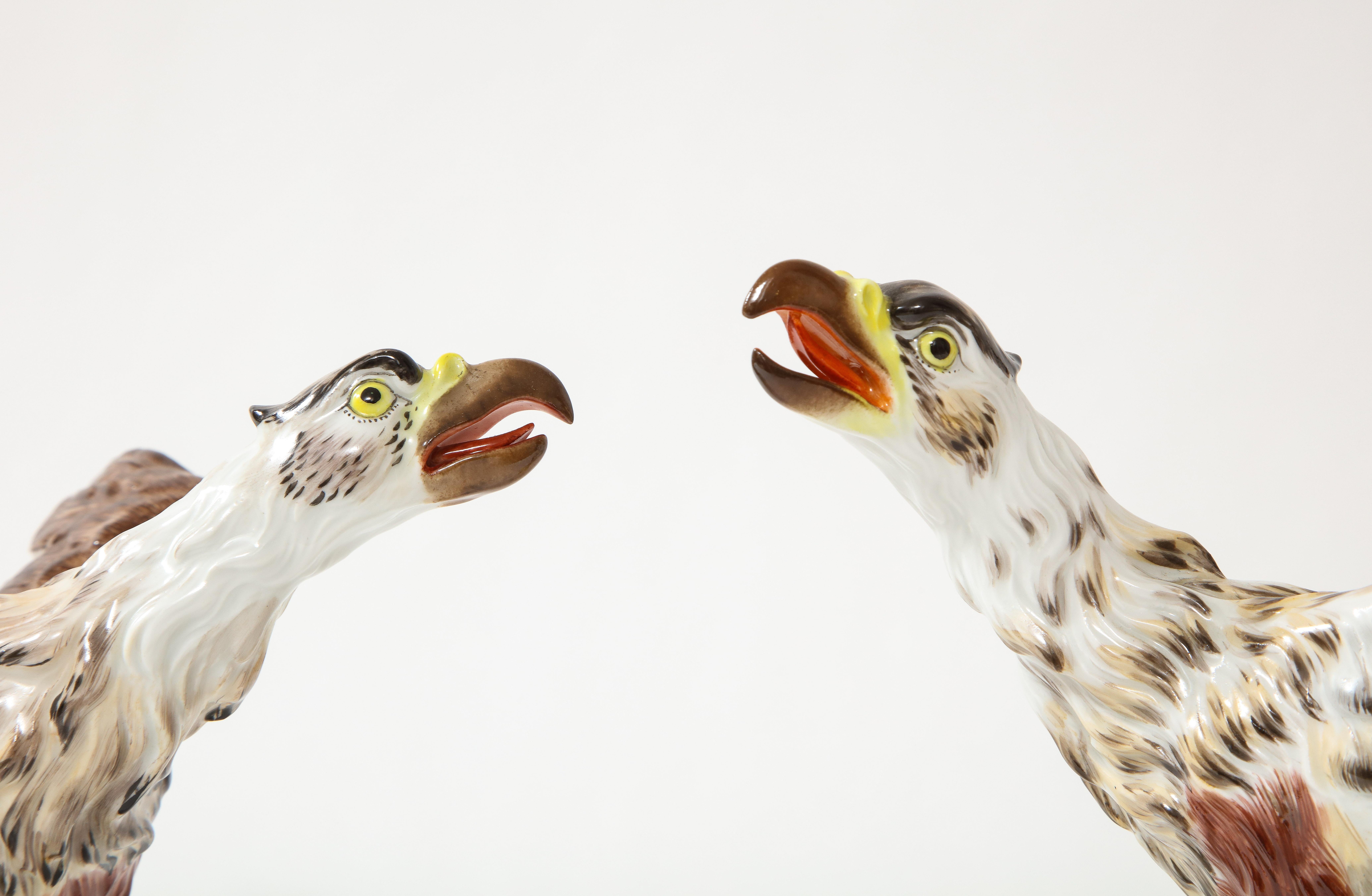 20th Century Fine Pair of Meissen Porcelain Models of Eagles Resting on Branches For Sale