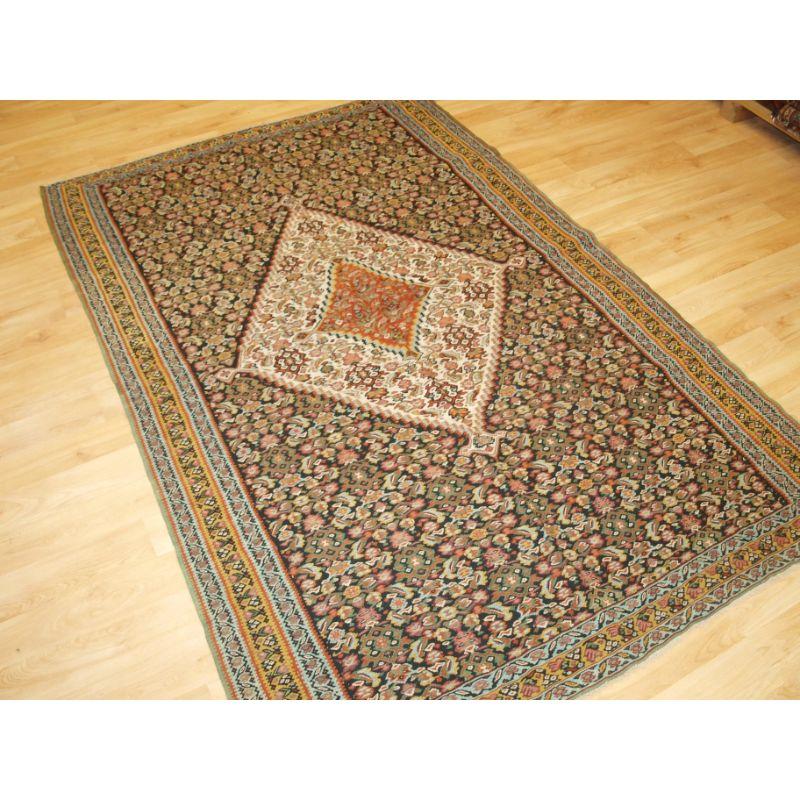 A fine Persian Senneh kilim with a traditional medallion design and herati to the field.

This is a good Senneh kilim with the overall design being the classic heratti design which is found in most Senneh kilims, the outer design is on a dark indigo