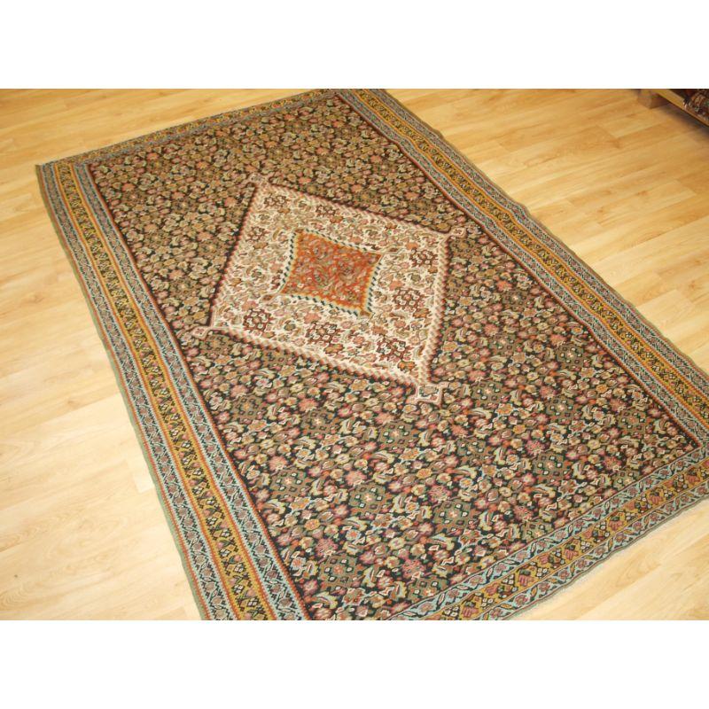 A fine Persian Senneh kilim with a traditional medallion design and herati to the field.

This is a good Senneh kilim with the overall design being the classic heratti design which is found in most Senneh kilims, the outer design is on a dark indigo