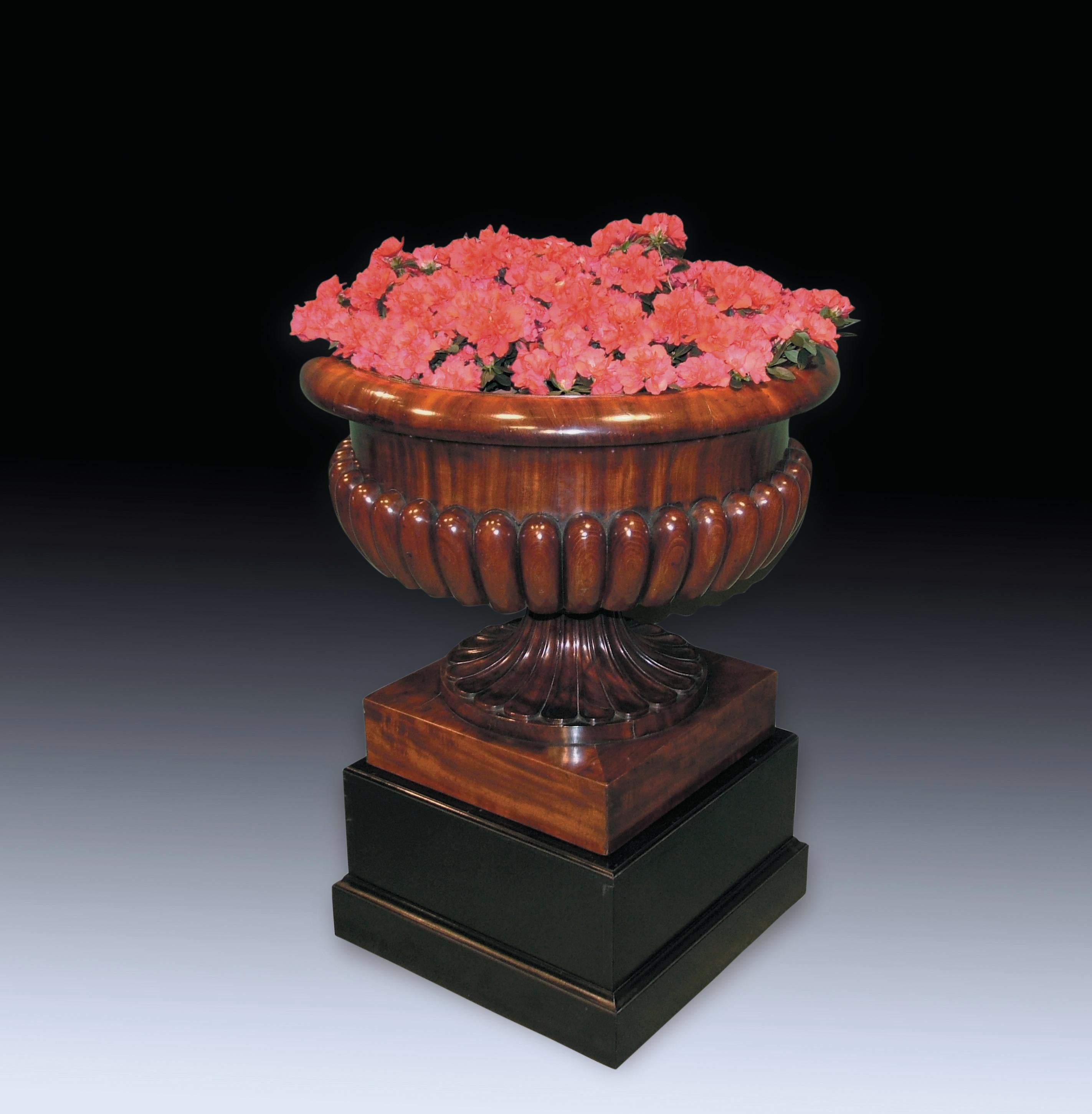 A fine early 19th Century Regency period campana-shaped figured mahogany Cellarette/Jardiniere in the manner of Gillows of Lancaster constructed in solid end grain section, raised on plinth base.  (Interior re-lined).

The Regency period was an