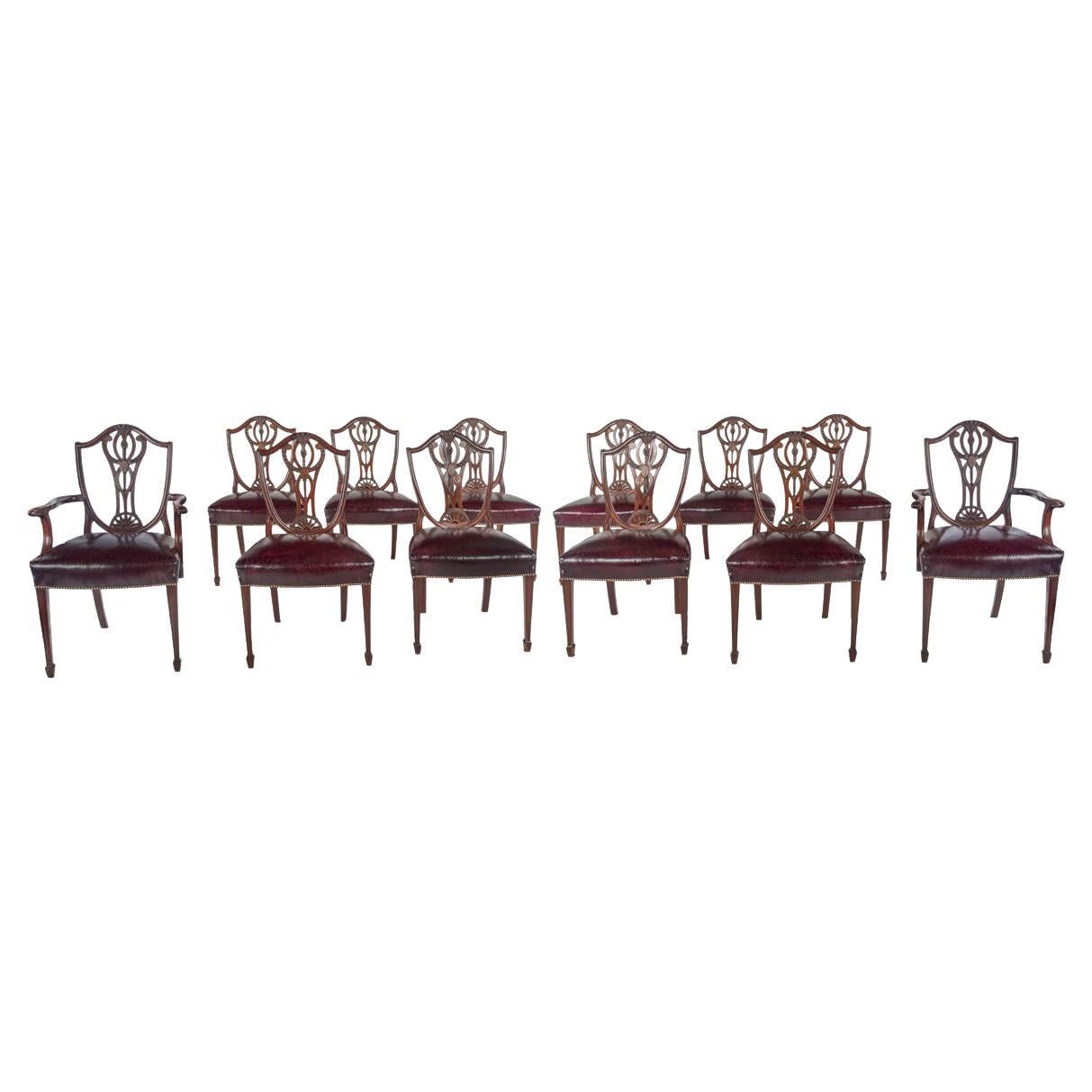 Un bel ensemble de 12 chaises de salle à manger en acajou de l'époque édouardienne dans le style Hepplewhite, c.19
