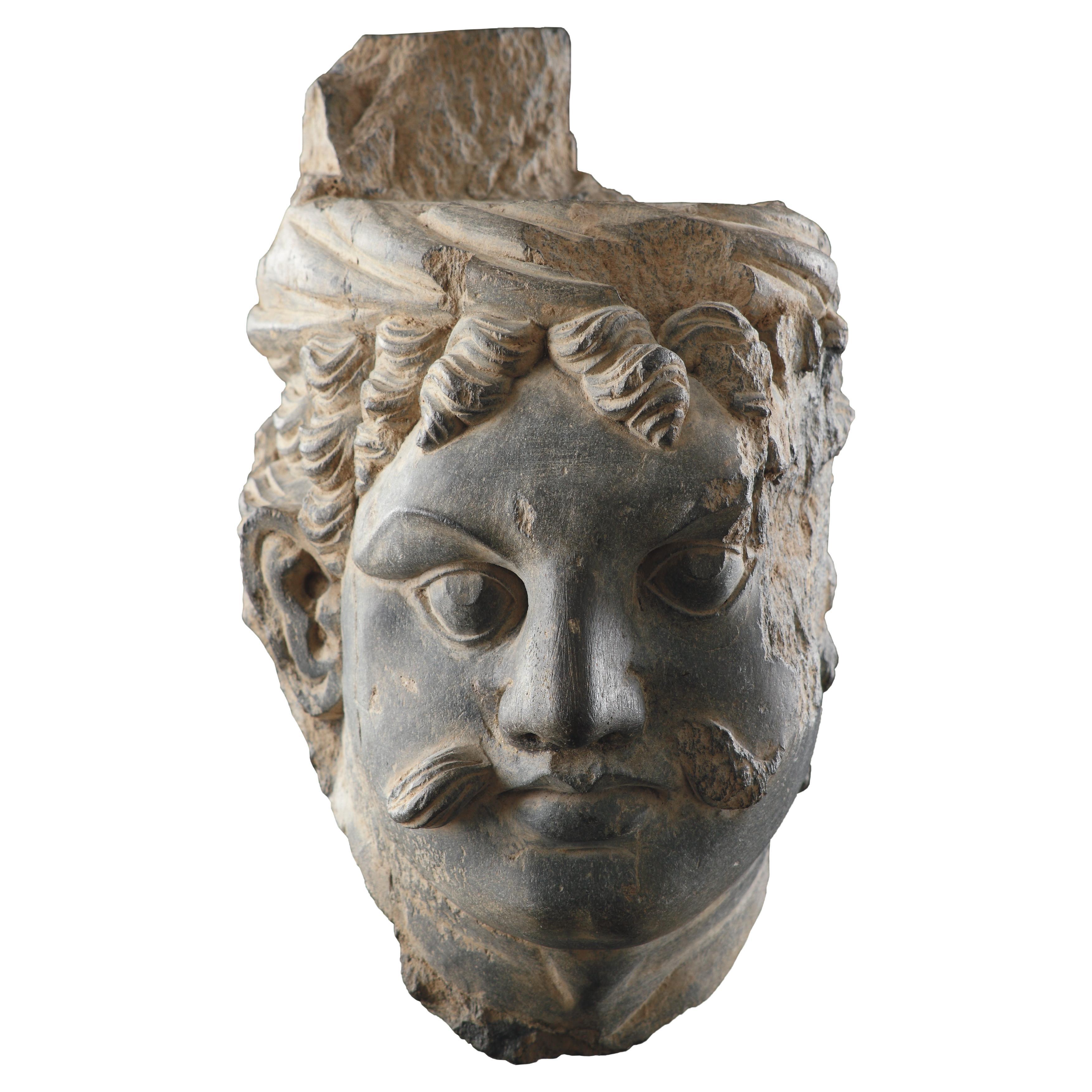 Tête d'"Atlas" finement sculptée au Gandhara en vente