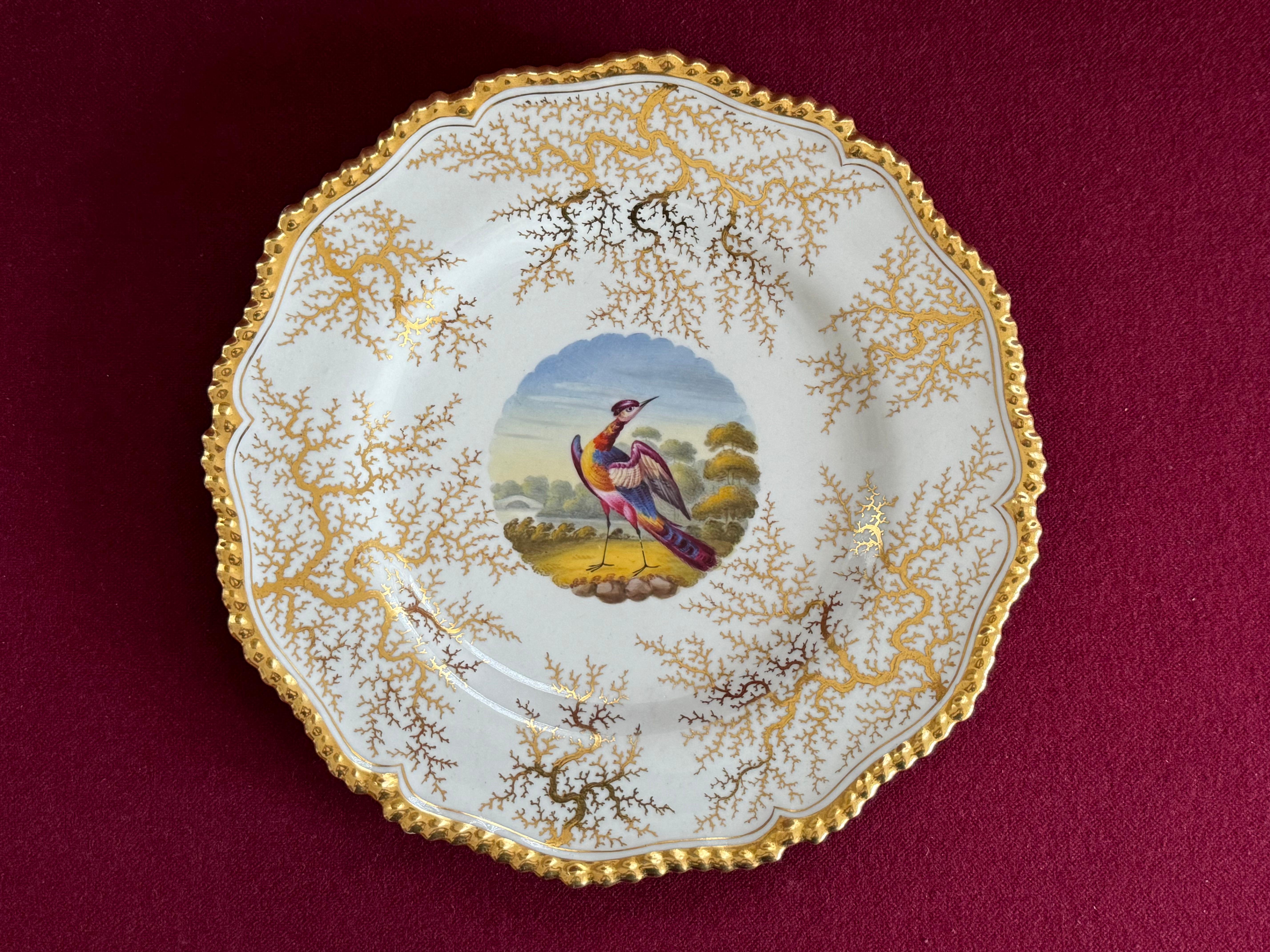 Ein Flight, Barr & Barr Worcester Porzellan Dessertteller ca. 1820. Mit vergoldetem, gadroniertem Rand und vergoldetem Algenhintergrund. Der zentrale runde Brunnen ist mit einer Vignette in hellen Emaillen mit einem exotischen Vogel vor einer