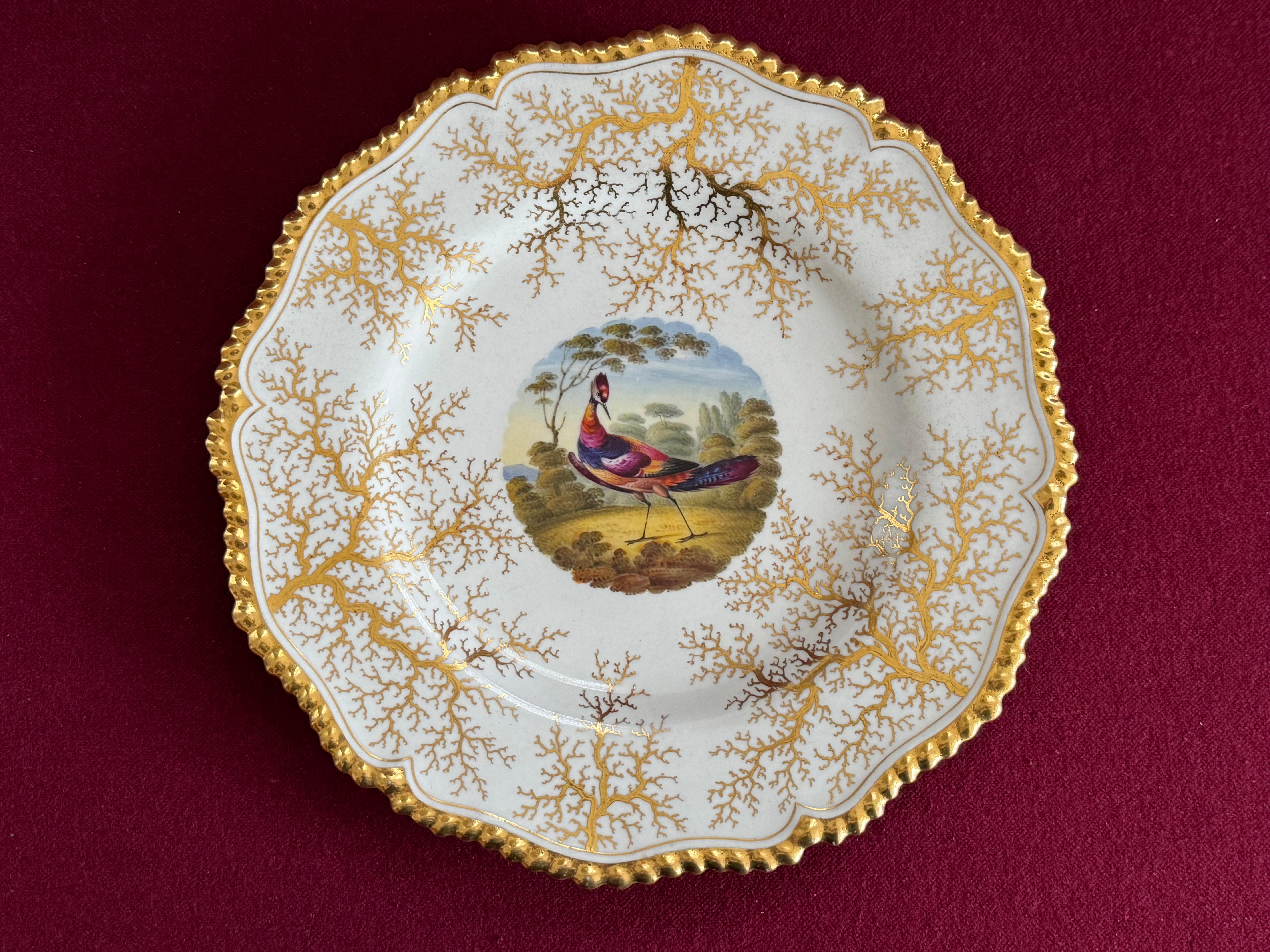 Ein Flight, Barr & Barr Worcester Porzellan Dessertteller ca. 1820. Mit vergoldetem, gadroniertem Rand und vergoldetem Algenhintergrund. Der zentrale runde Brunnen ist mit einer Vignette in hellen Emaillen mit einem exotischen Vogel vor einer