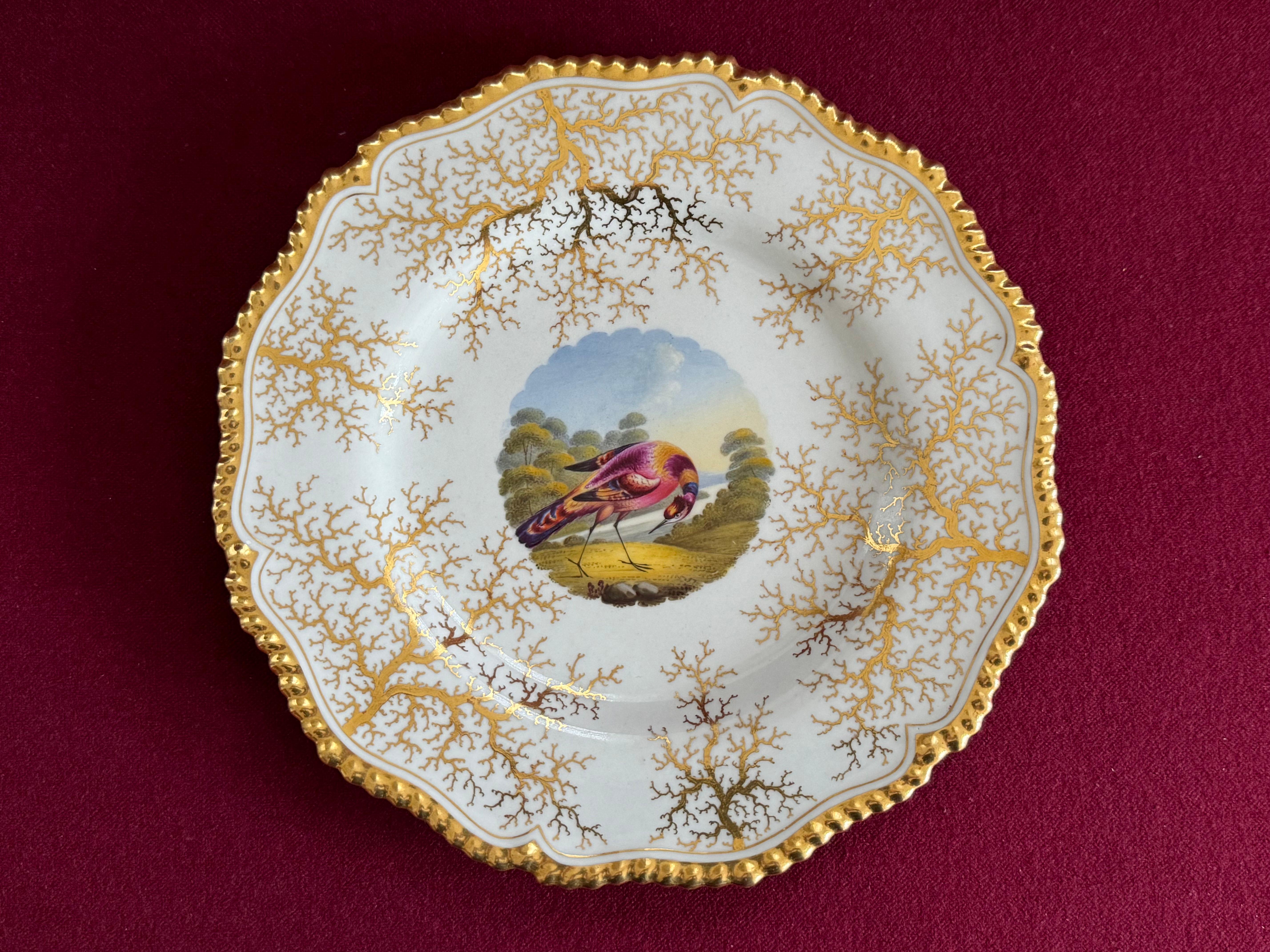 Ein Flight, Barr & Barr Worcester Porzellan Dessertteller ca. 1820. Mit vergoldetem, gadroniertem Rand und vergoldetem Algenhintergrund. Der zentrale runde Brunnen ist mit einer Vignette in hellen Emaillen mit einem exotischen Vogel vor einer