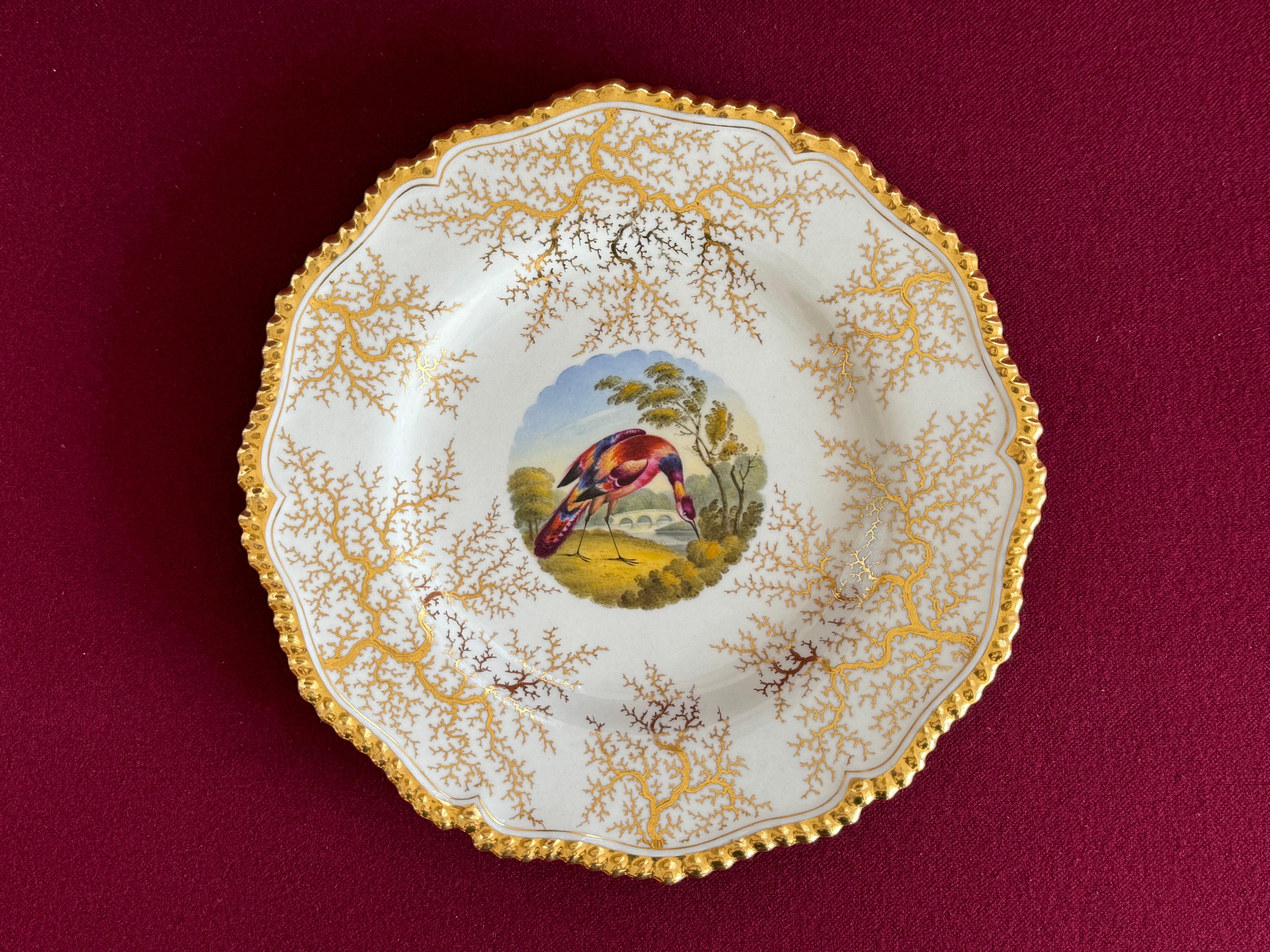 A Flight, Barr & Barr Worcester porcelain dessert plate c.1820. With gilt gadrooned rim and gilt seaweed background. The central circular well painted with a vignette in bright enamels with an exotic bird against a river landscape, in the manner of