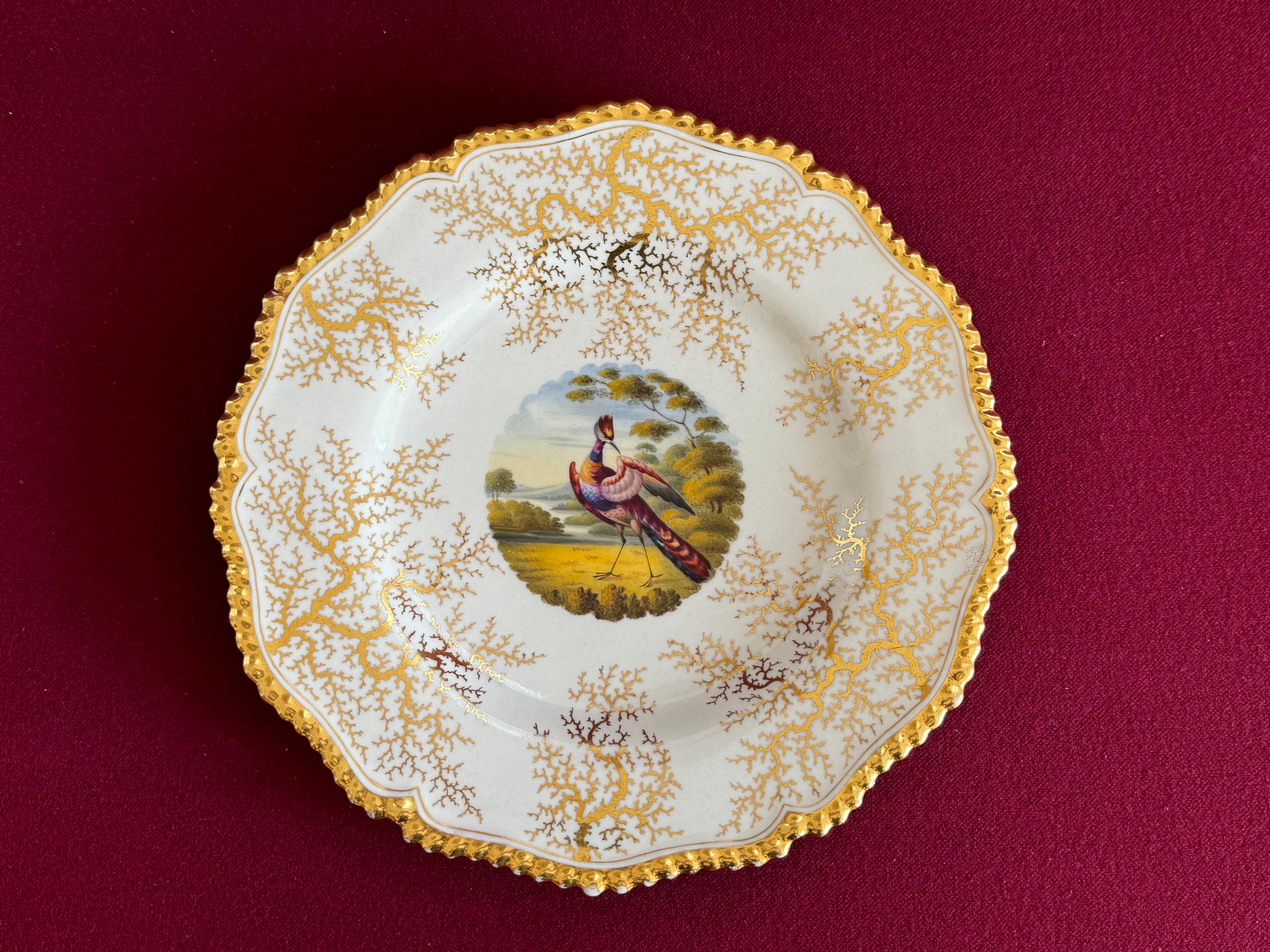 Ein Flight, Barr & Barr Worcester Porzellan Dessertteller ca. 1820. Mit vergoldetem, gadroniertem Rand und vergoldetem Algenhintergrund. Der zentrale runde Brunnen ist mit einer Vignette in hellen Emaillen mit einem exotischen Vogel vor einer
