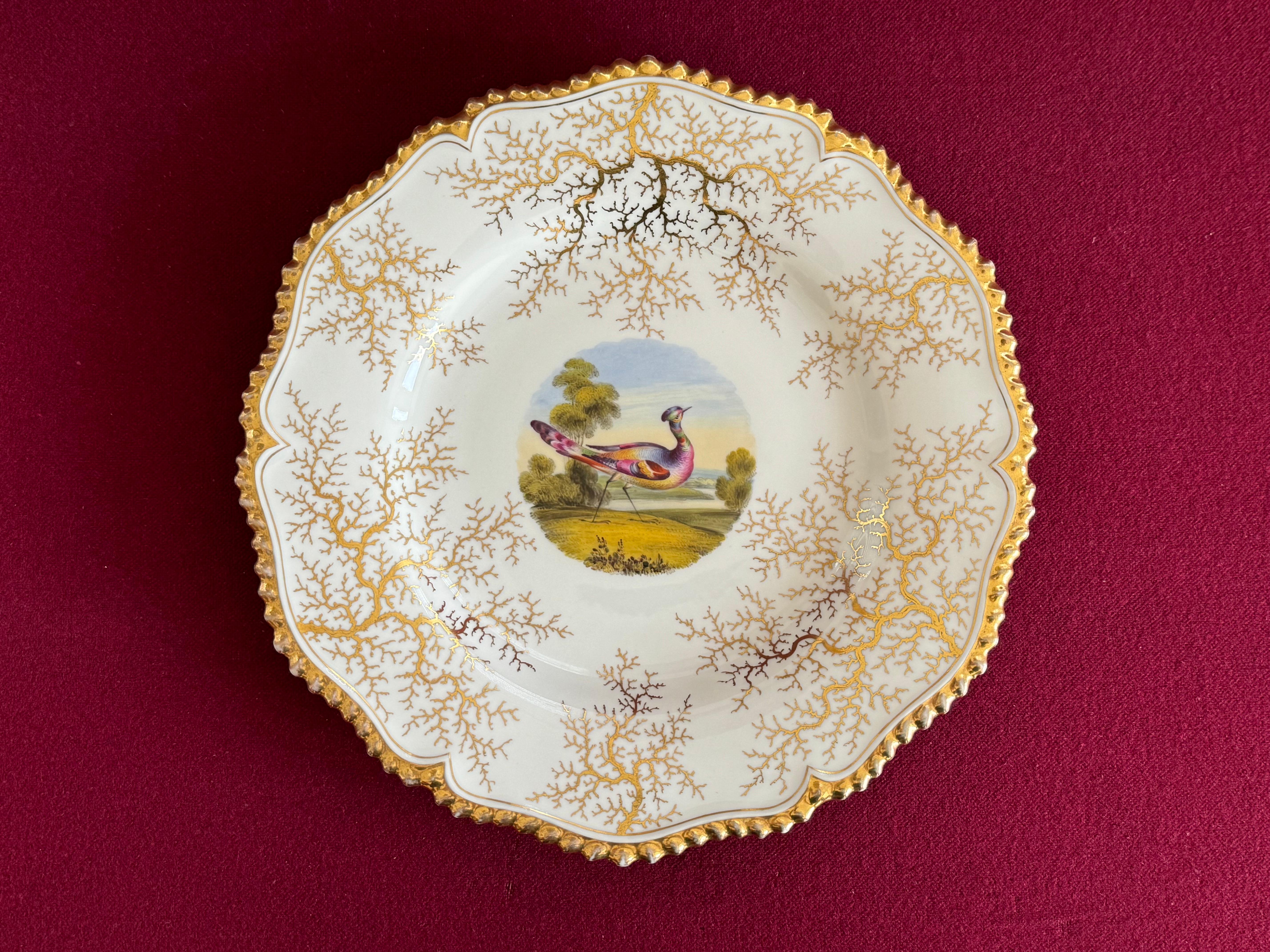 A Flight, Barr & Barr Worcester porcelain dessert plate c.1820. With gilt gadrooned rim and gilt seaweed background. The central circular well painted with a vignette in bright enamels with an exotic bird against a river landscape, in the manner of
