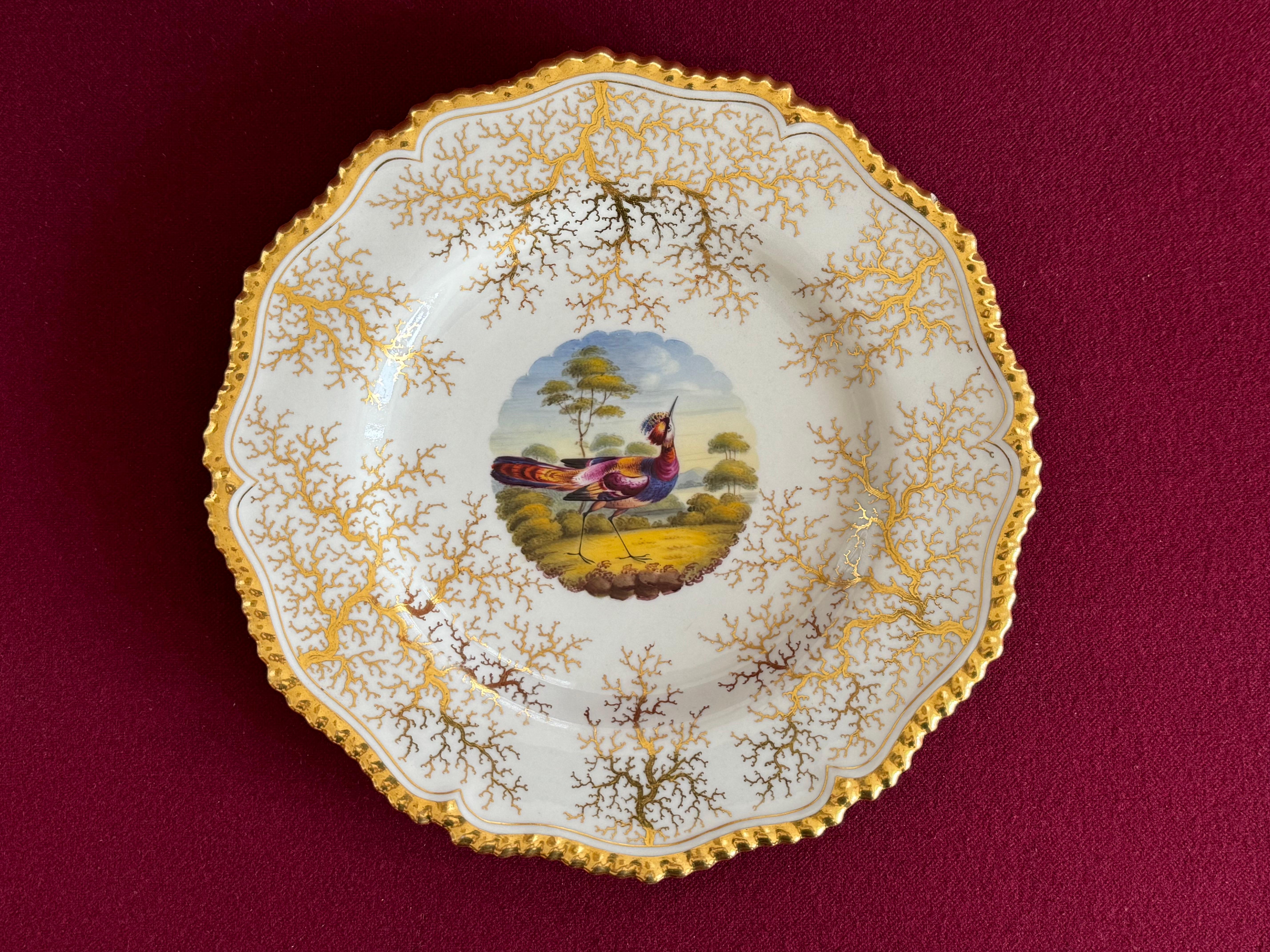 Ein Flight, Barr & Barr Worcester Porzellan Dessertteller ca. 1820.Mit vergoldetem, gadroniertem Rand und vergoldetem Algenhintergrund. Der zentrale runde Brunnen ist mit einer Vignette in hellen Emaillen mit einem exotischen Vogel vor einer