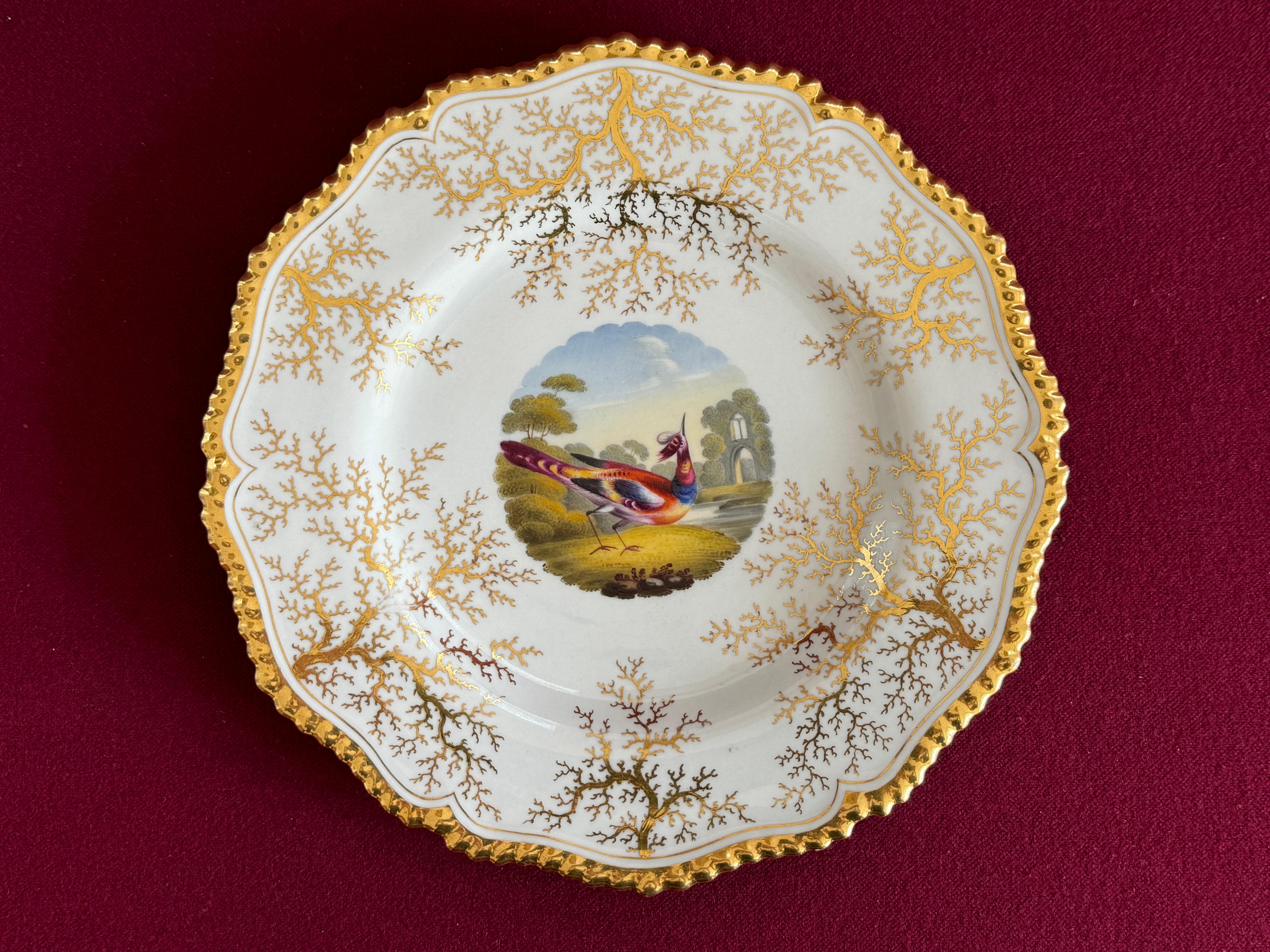 Ein Flight, Barr & Barr Worcester Porzellan Dessertteller ca. 1820.Mit vergoldetem, gadroniertem Rand und vergoldetem Algenhintergrund. Der zentrale runde Brunnen ist mit einer Vignette in hellen Emaillen mit einem exotischen Vogel vor einer