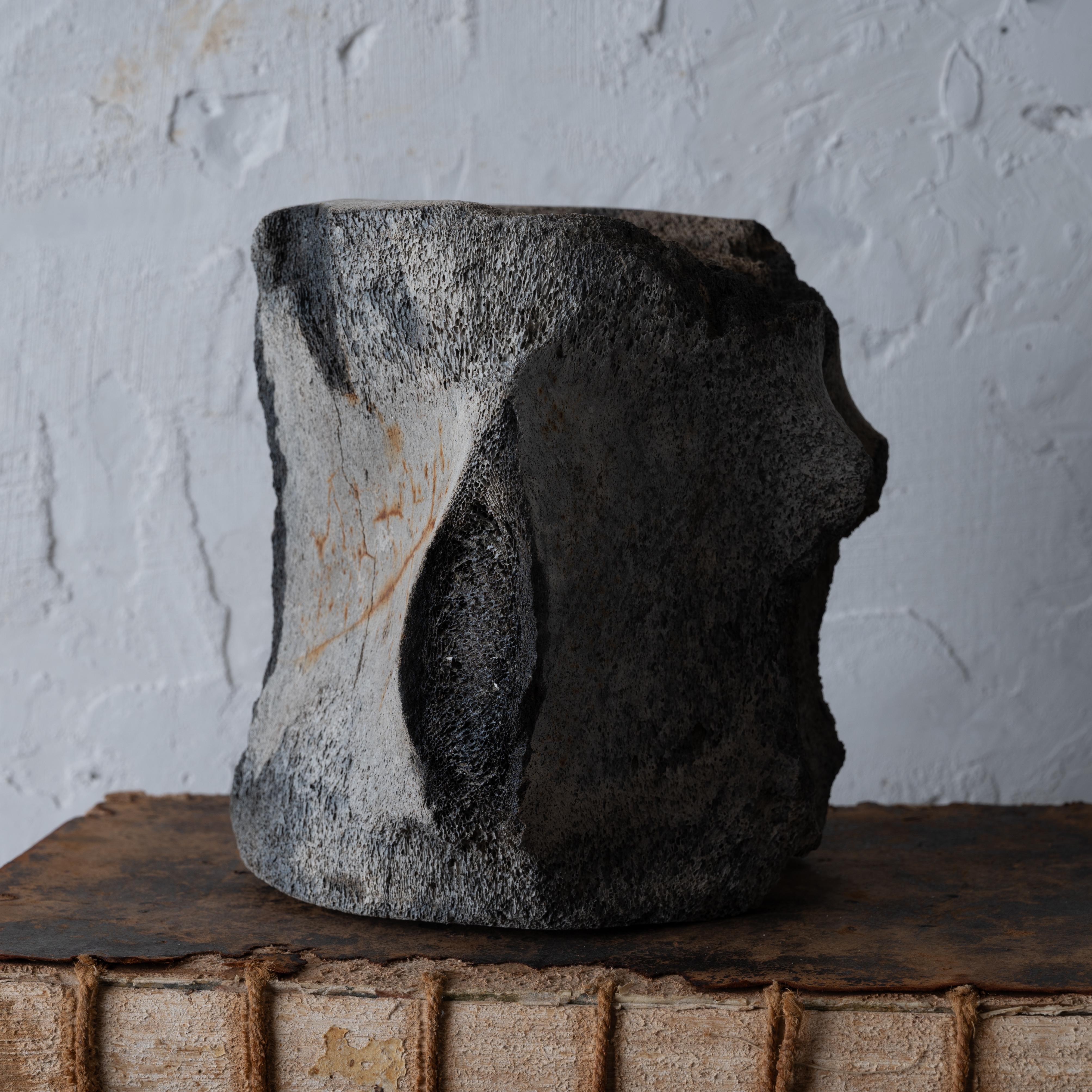 A Fossilized Whale Vertebrae For Sale 3