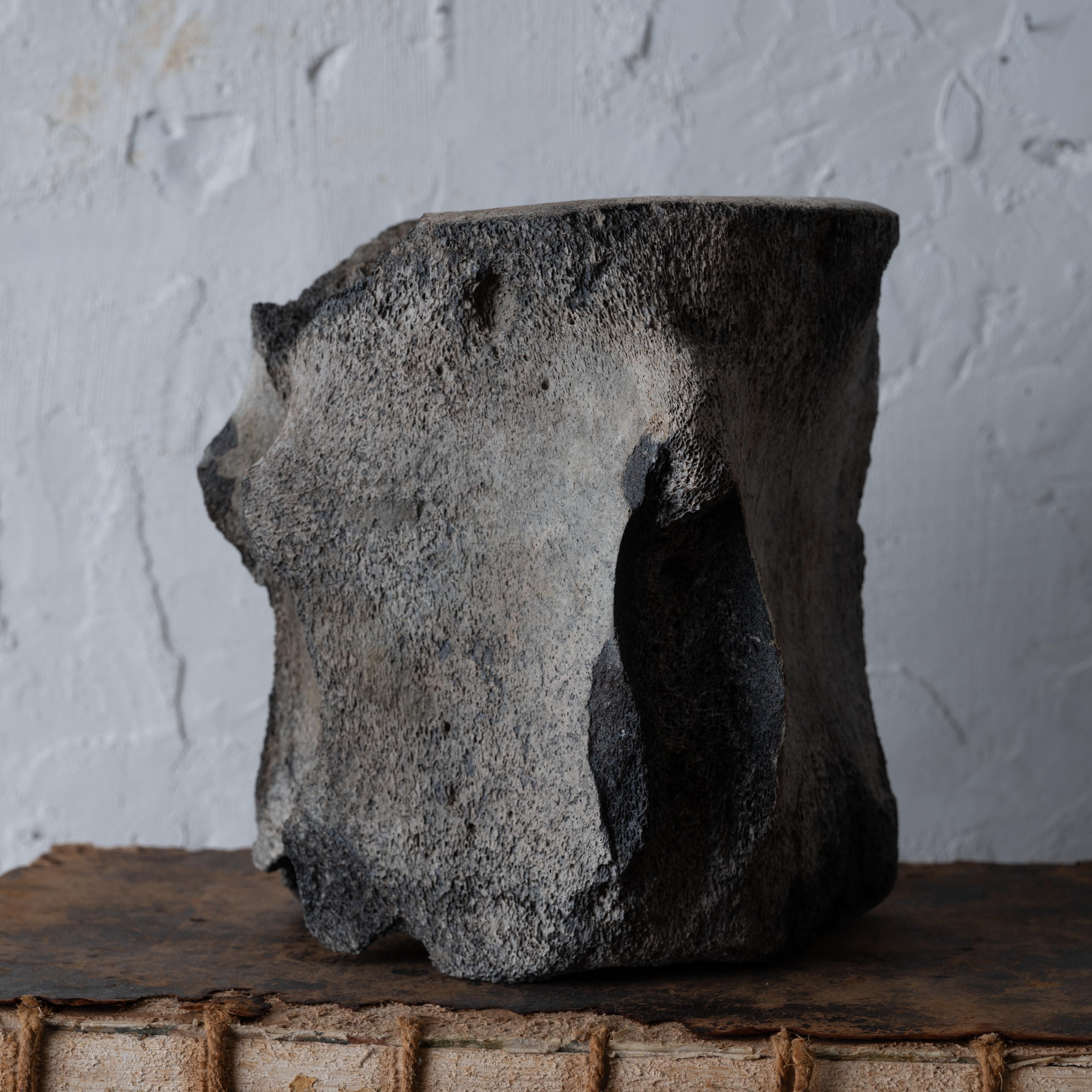A Fossilized Whale Vertebrae For Sale 1