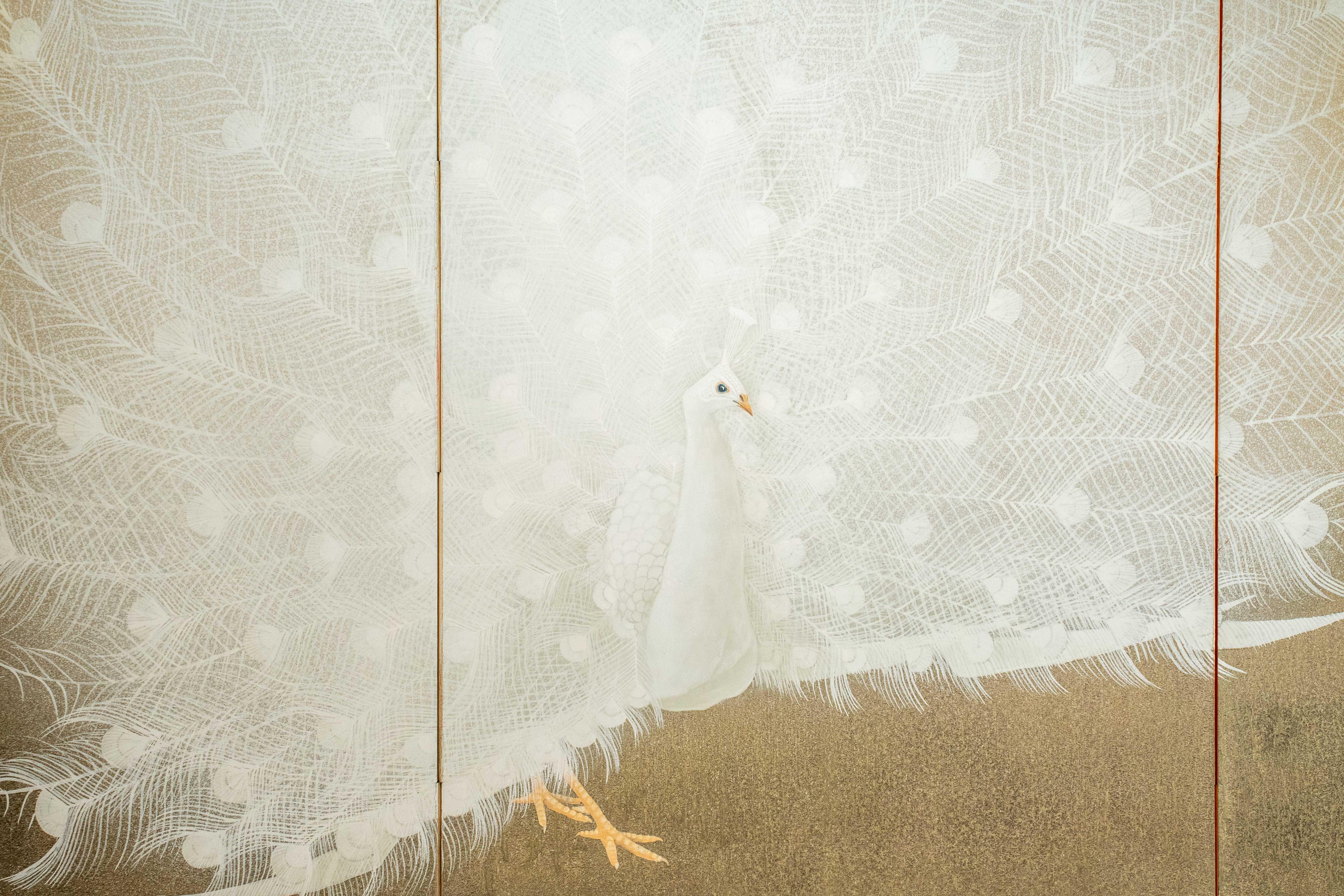 A four-panel folding screen depicting a white peacock, signed Yukihiko Kurihara In Excellent Condition For Sale In Milano, IT