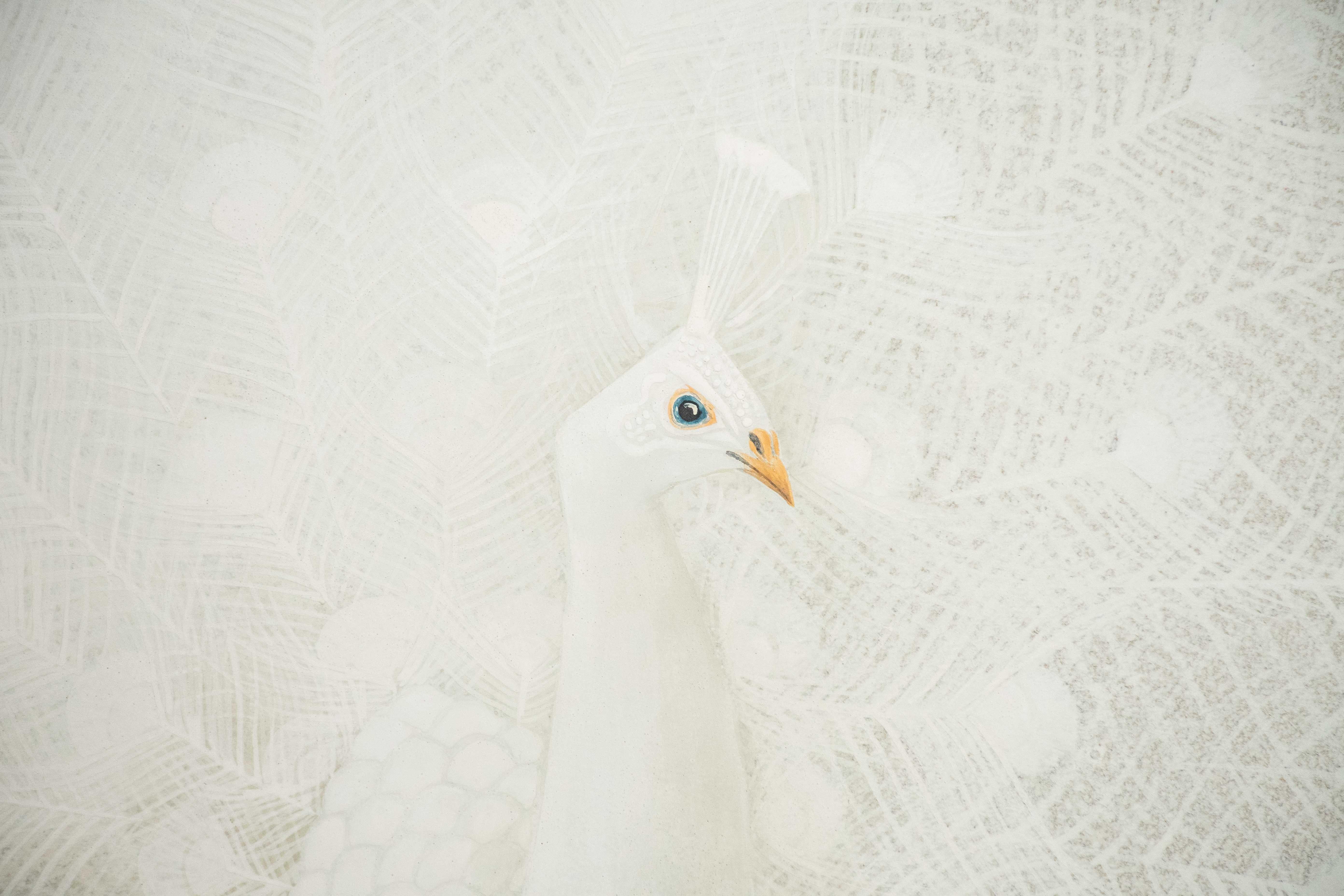 20th Century A four-panel folding screen depicting a white peacock, signed Yukihiko Kurihara For Sale