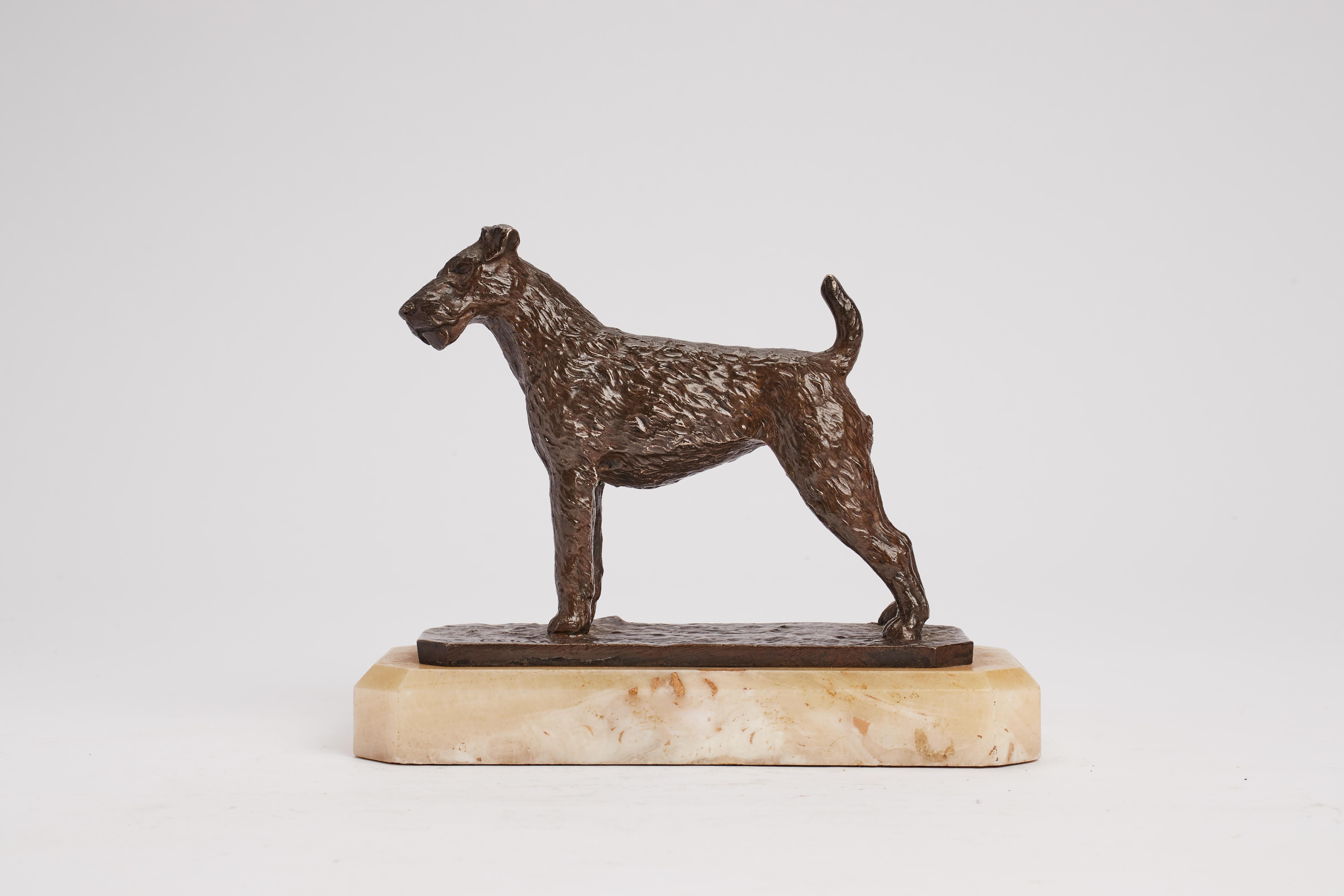 A bronze sculpture representing a fox Terrier dog on alabaster base. Signed C.Charles. France, 1920