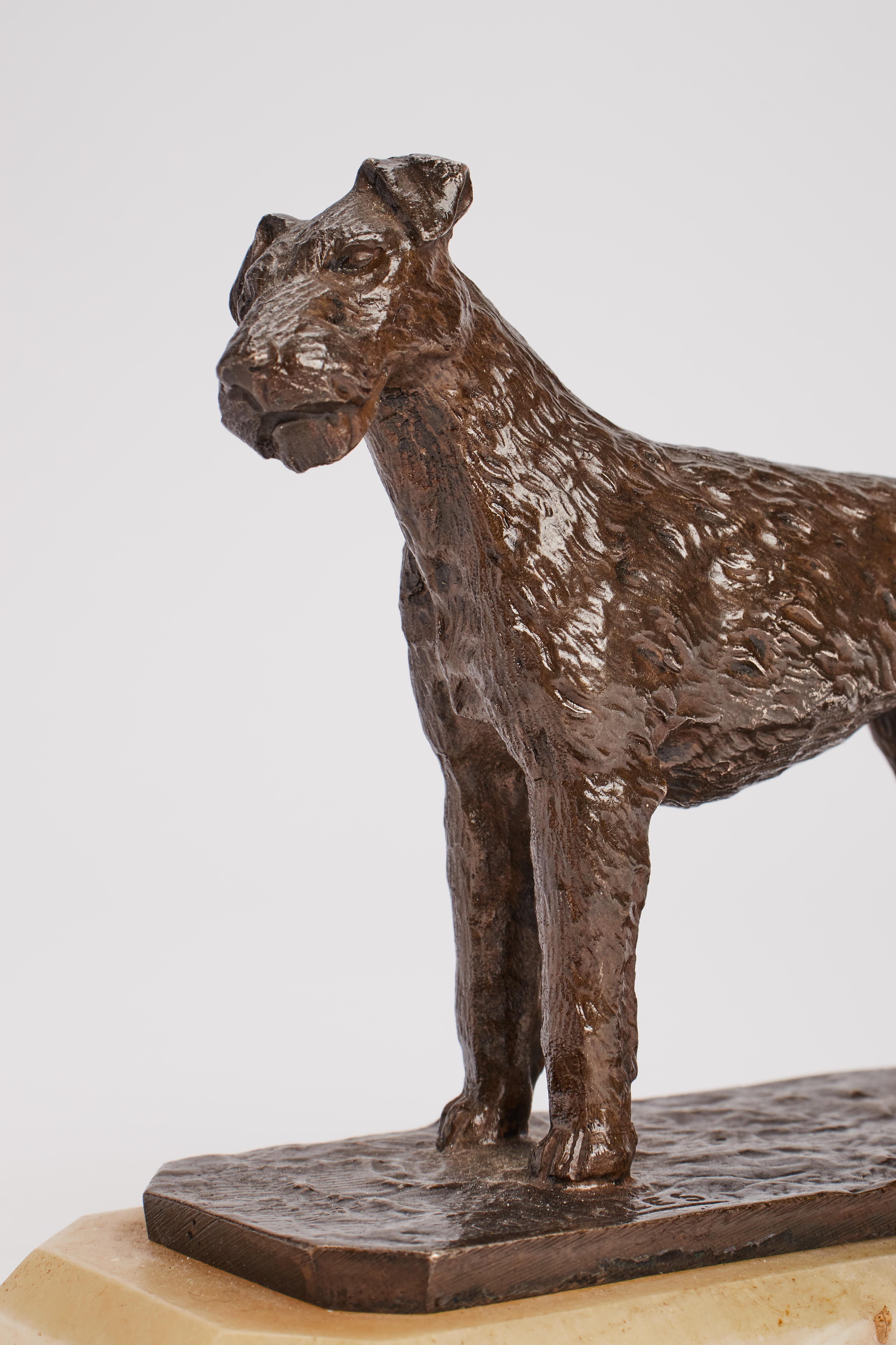 Fox Terrier Bronze, Signed C. Charles, France, 1920 In Good Condition For Sale In Milan, IT
