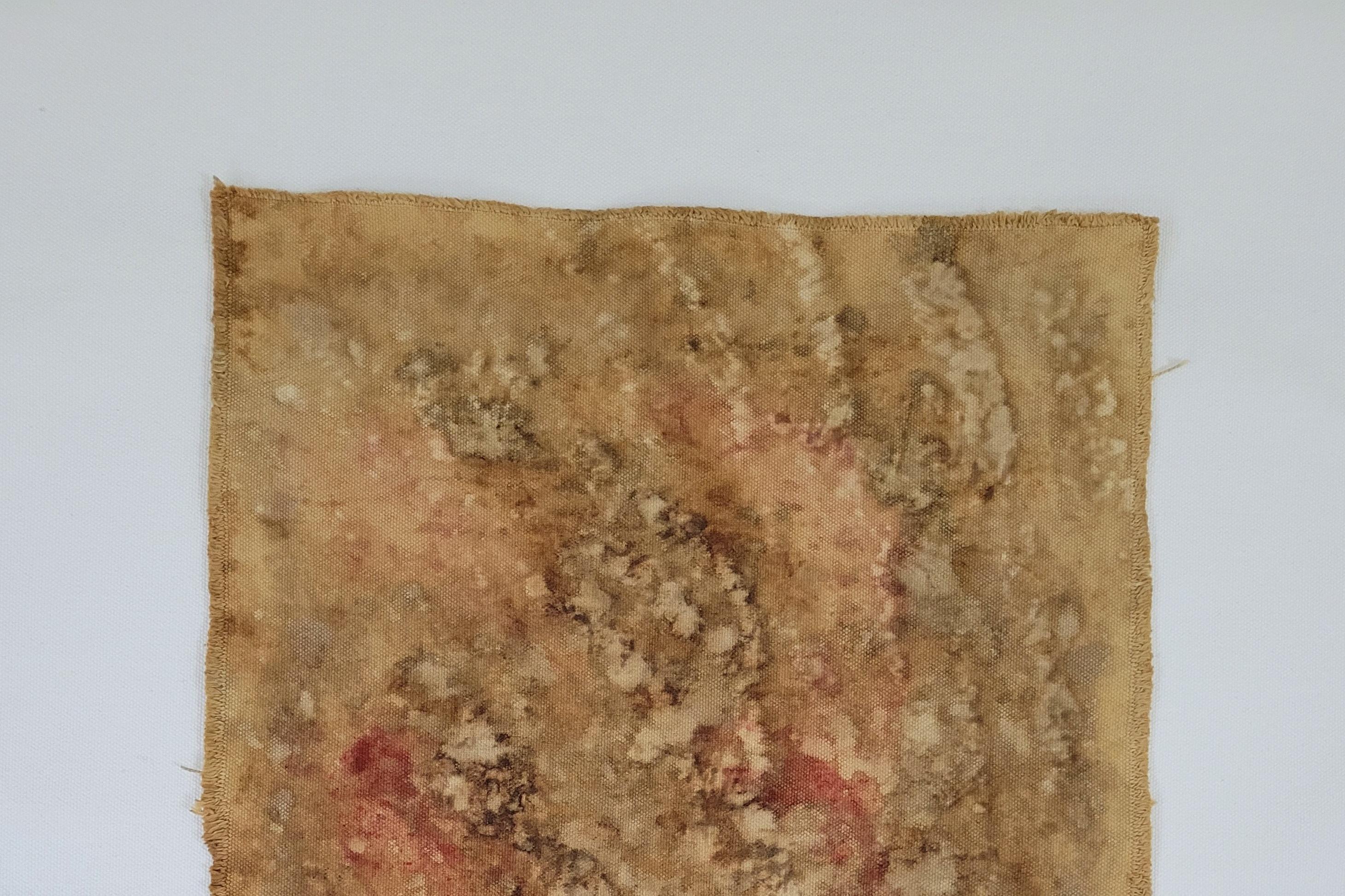 Moderno A FRAGMENT FROM ANOTHER PLANET (5) – Plant-Dyed Botanical Art on Cotton Canvas in vendita