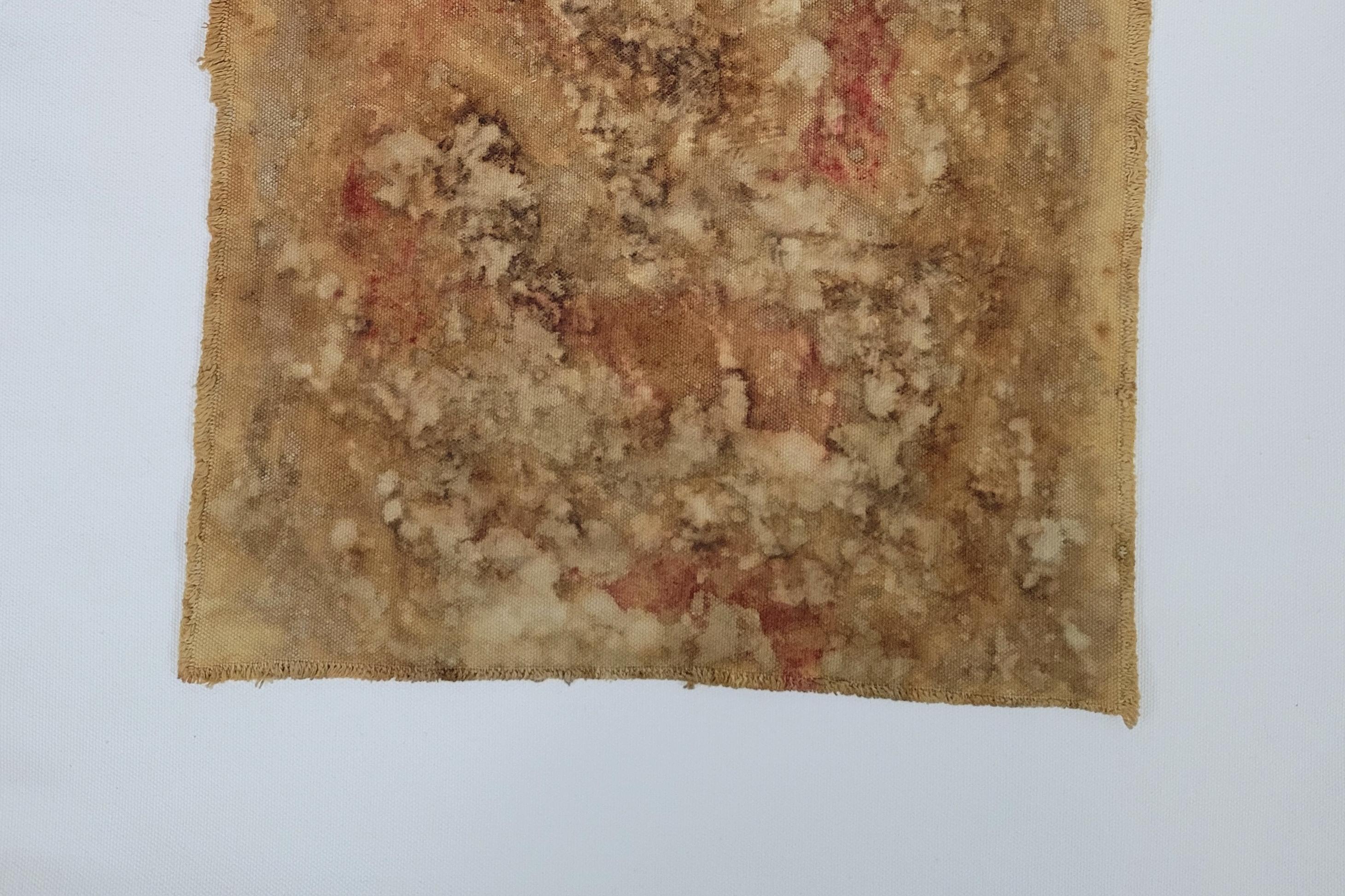 Turco A FRAGMENT FROM ANOTHER PLANET (5) – Plant-Dyed Botanical Art on Cotton Canvas in vendita