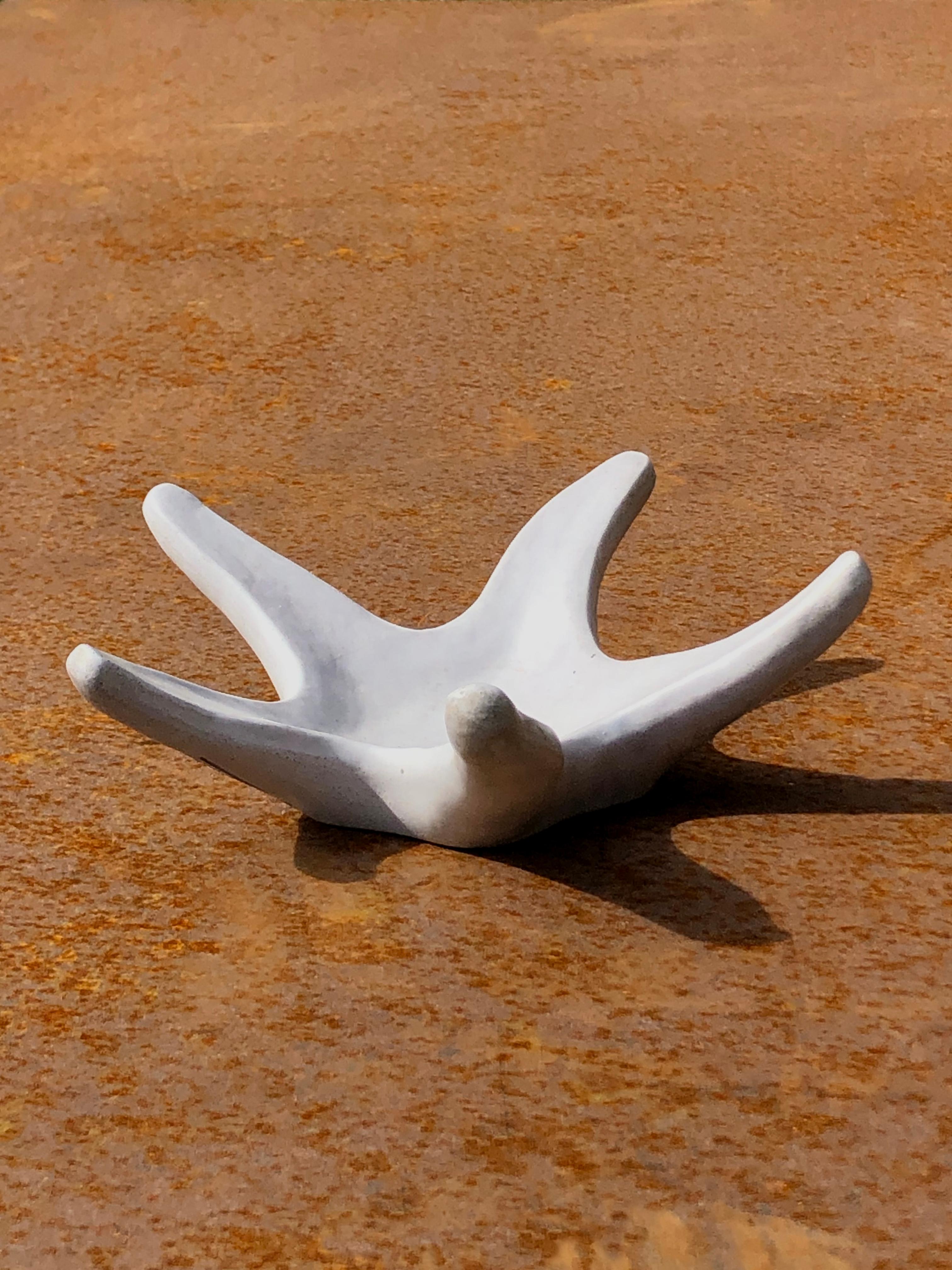 Ein wunderschönes Seesterntablett, Modernist, Forme-Libre, weiß emaillierte Keramikskulptur von Marcel Guillot, signiert unter dem Sockel, Vallauris, Frankreich 1950.

ABMESSUNGEN: H 4 x B 20 x T 21 cm

ZUSTAND: In schönem Originalzustand.
