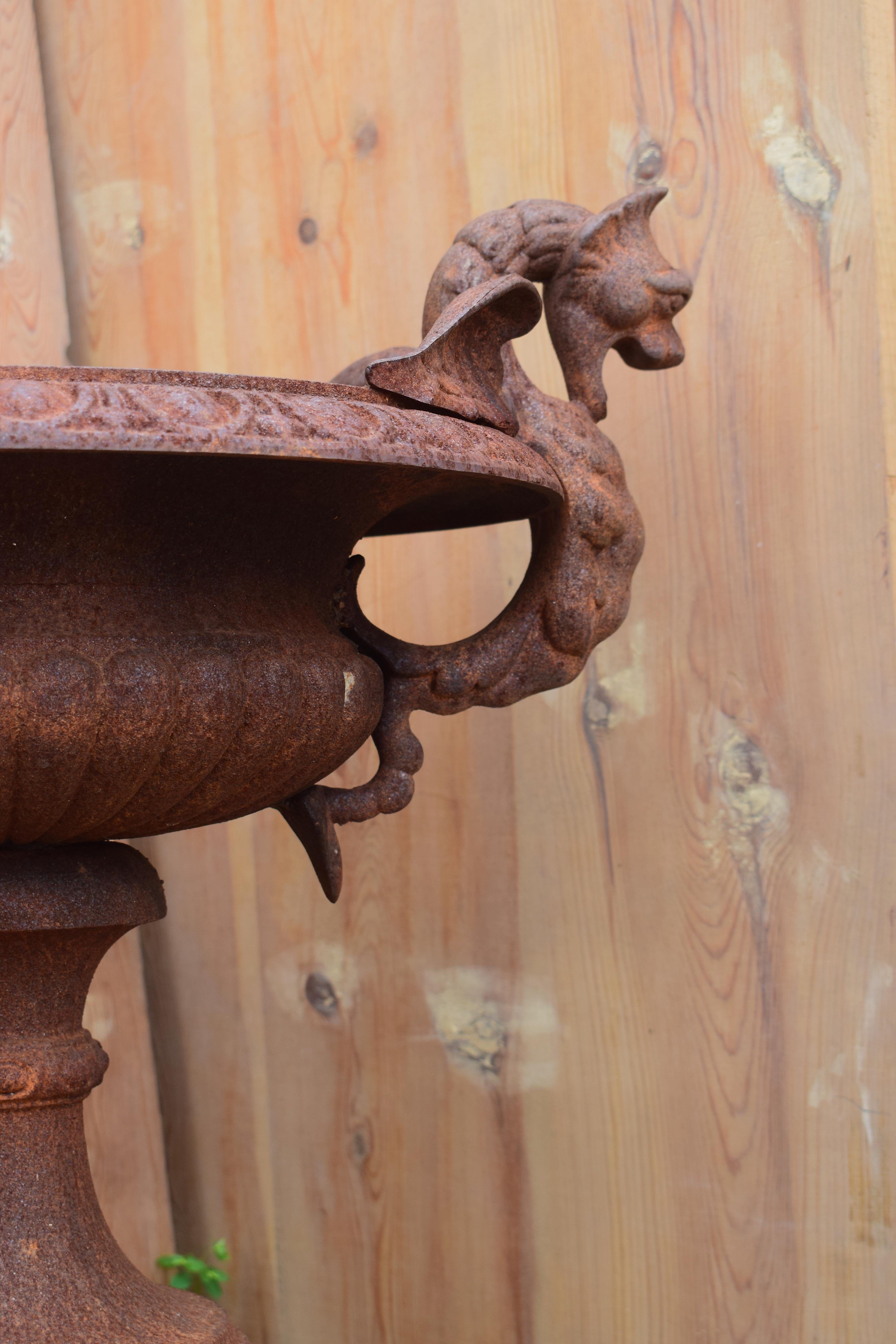 French 19th Century Cast Iron Garden Urn with Dragon Handles For Sale 2